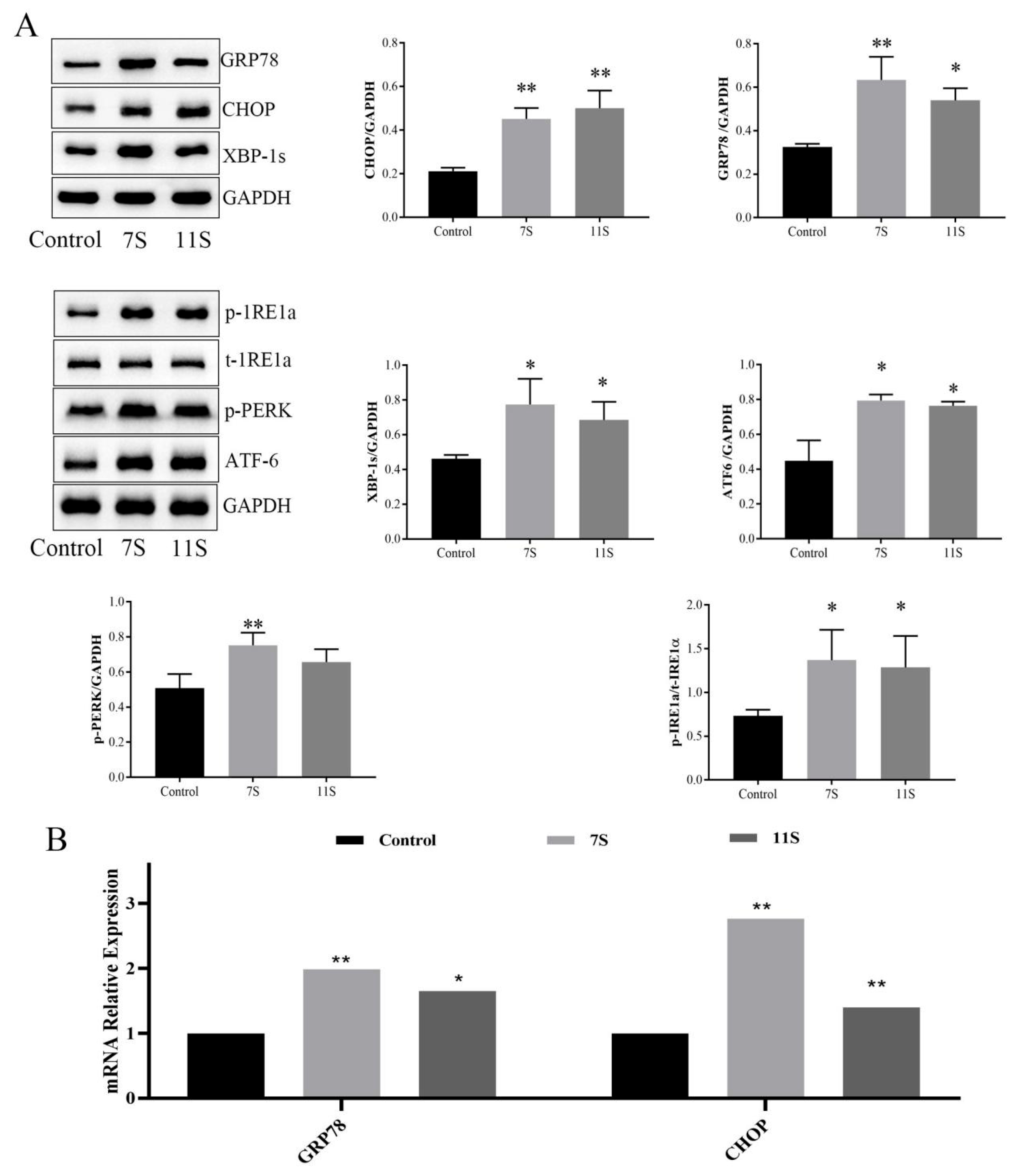 Molecules 28 06500 g005a