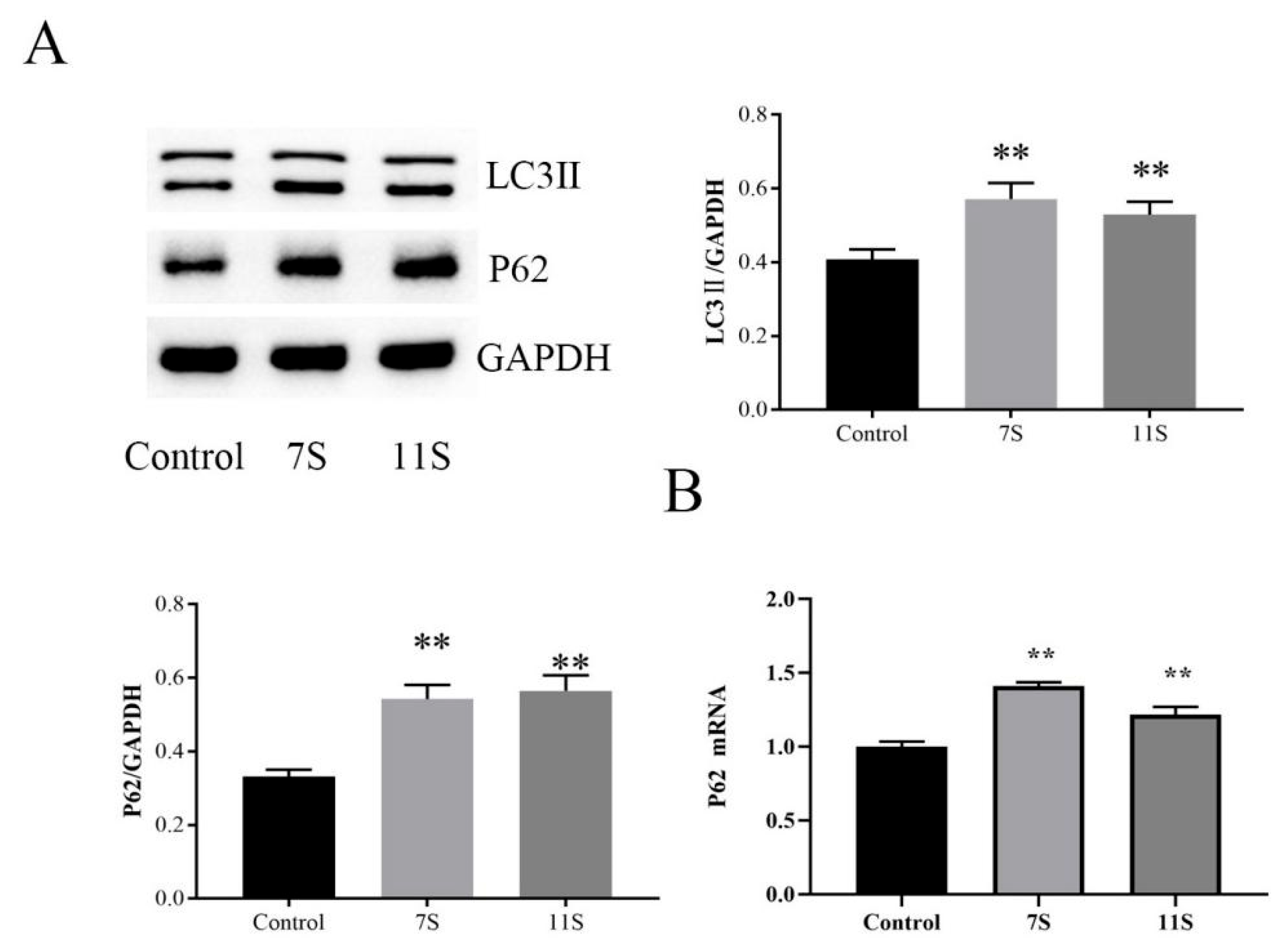 Molecules 28 06500 g006