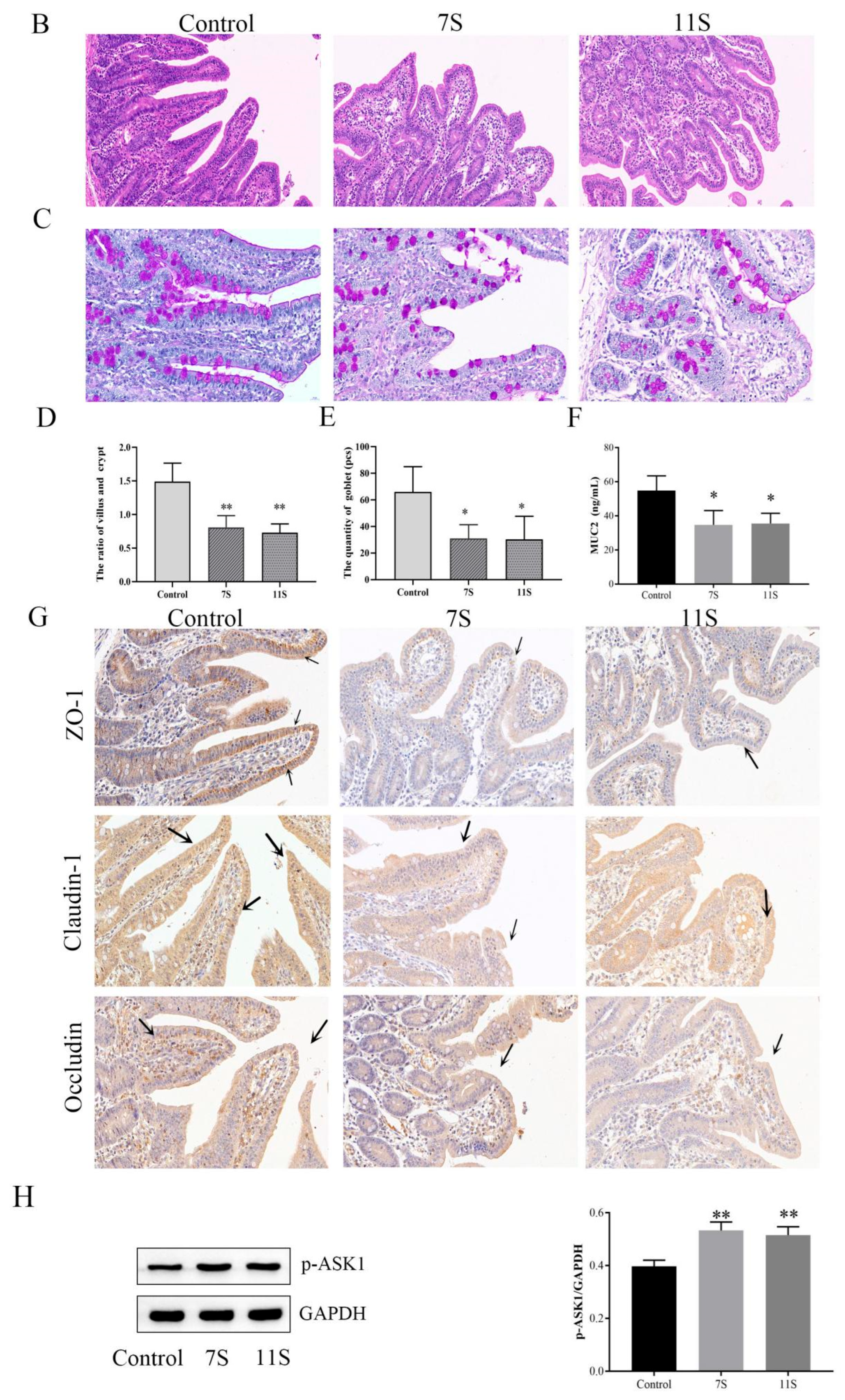 Molecules 28 06500 g007b