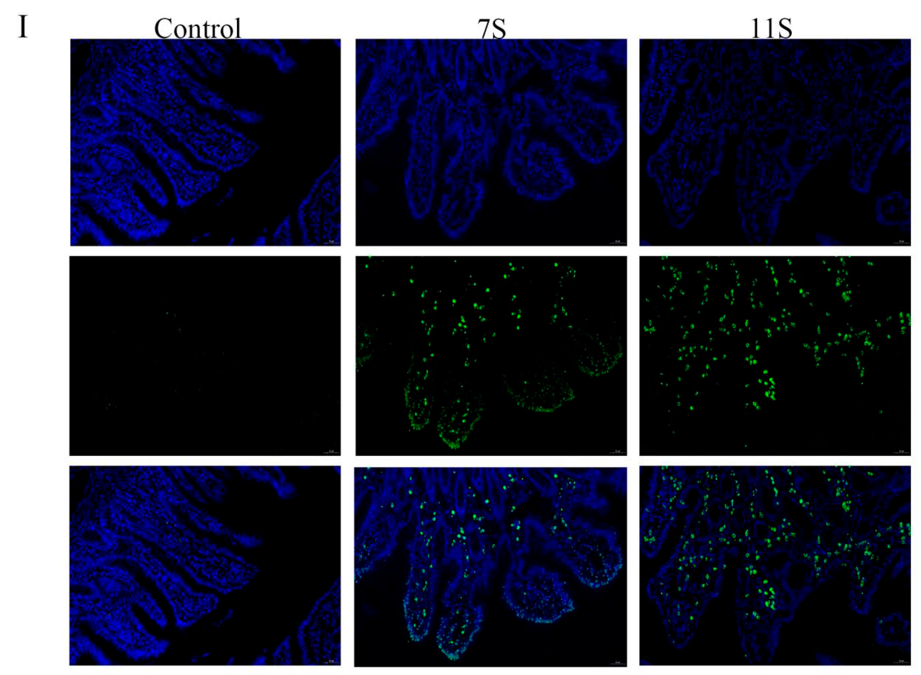 Molecules 28 06500 g007c