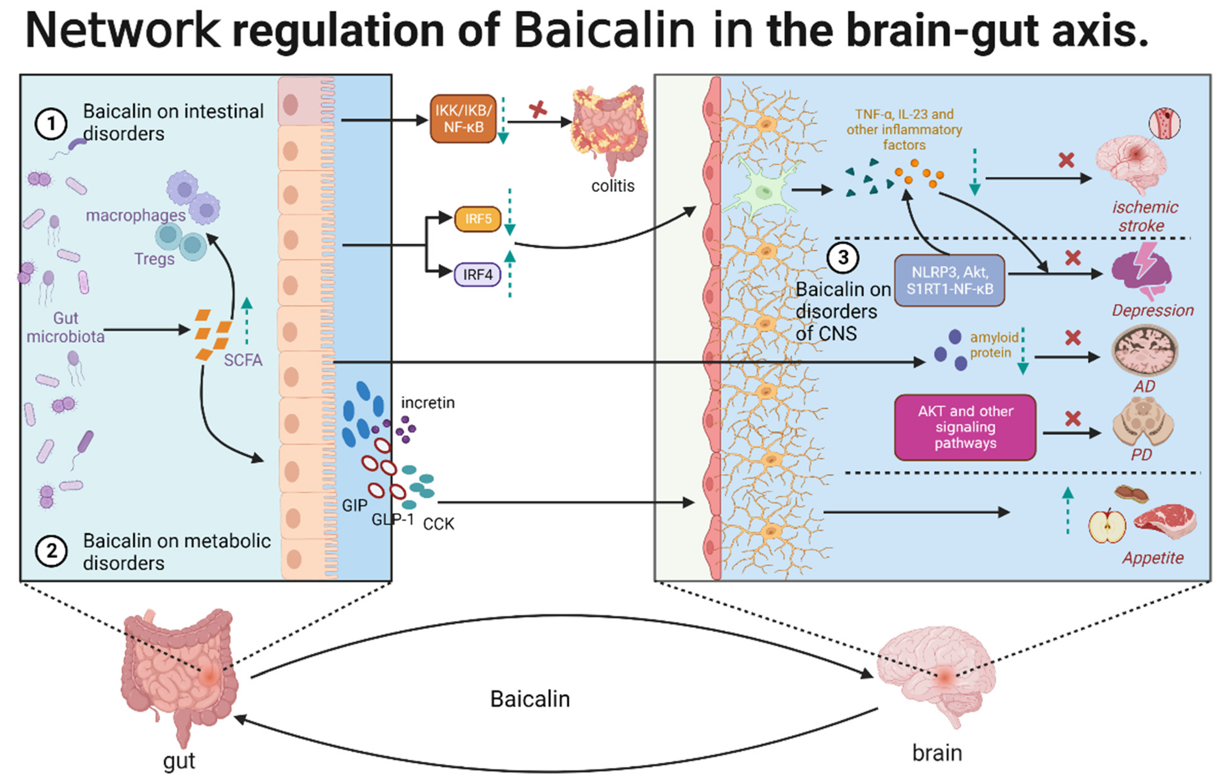 Molecules 28 06501 g004