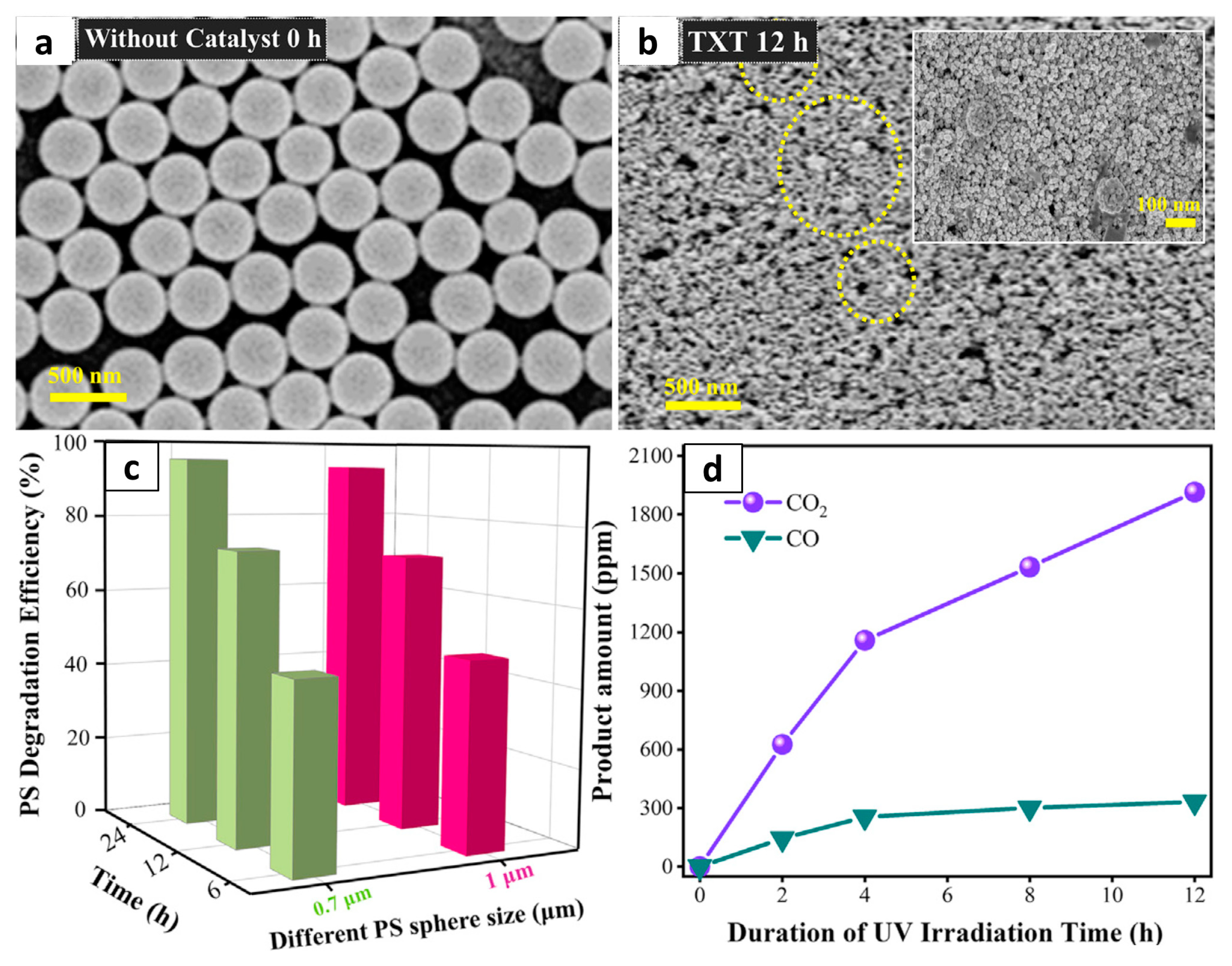 Molecules 28 06502 g003