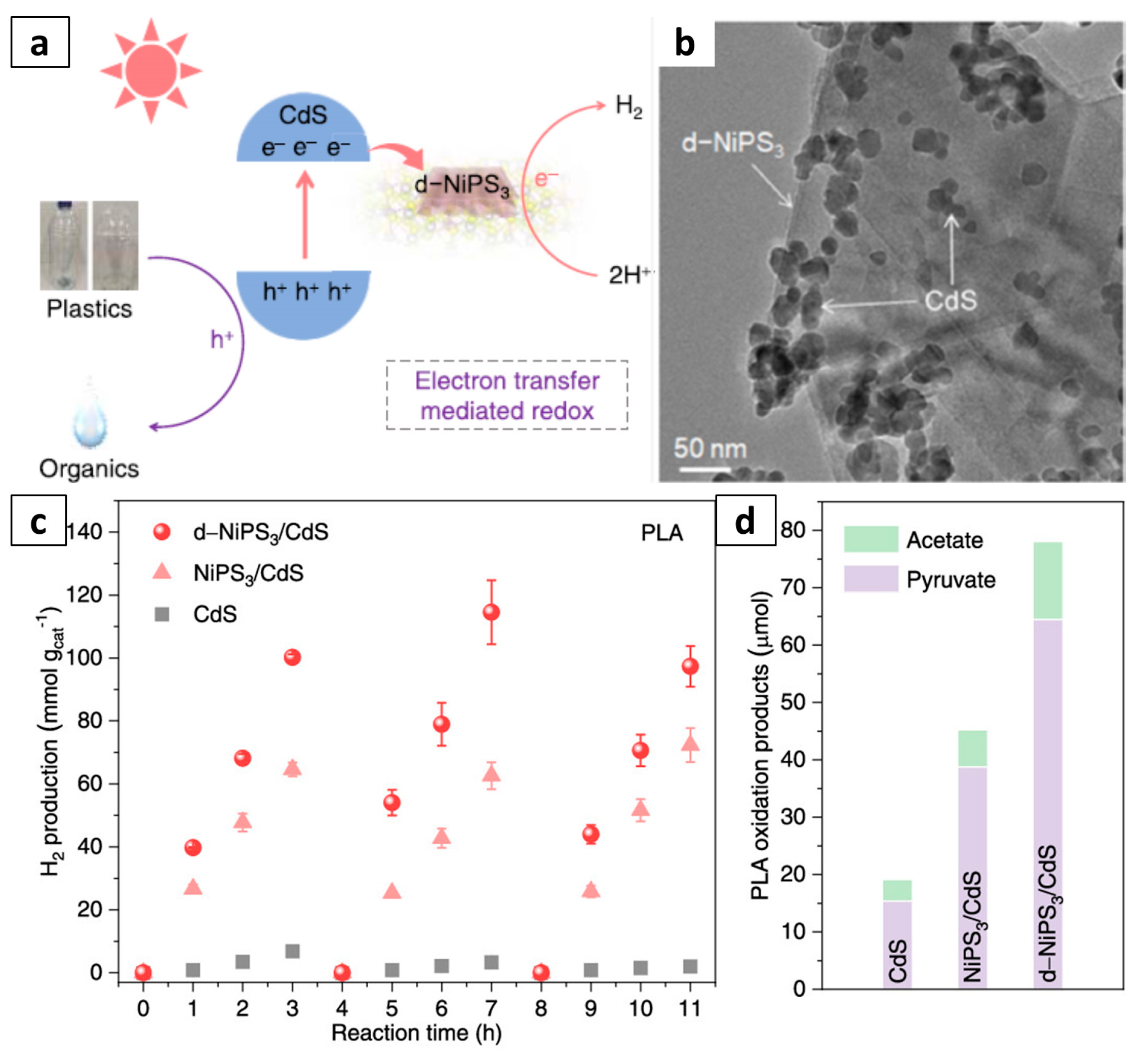 Molecules 28 06502 g004