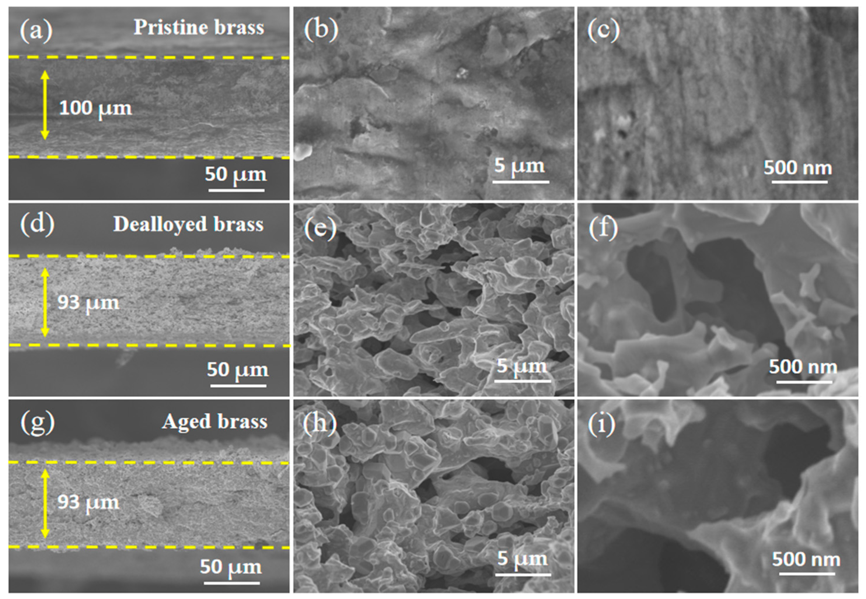 Molecules 28 06509 g002