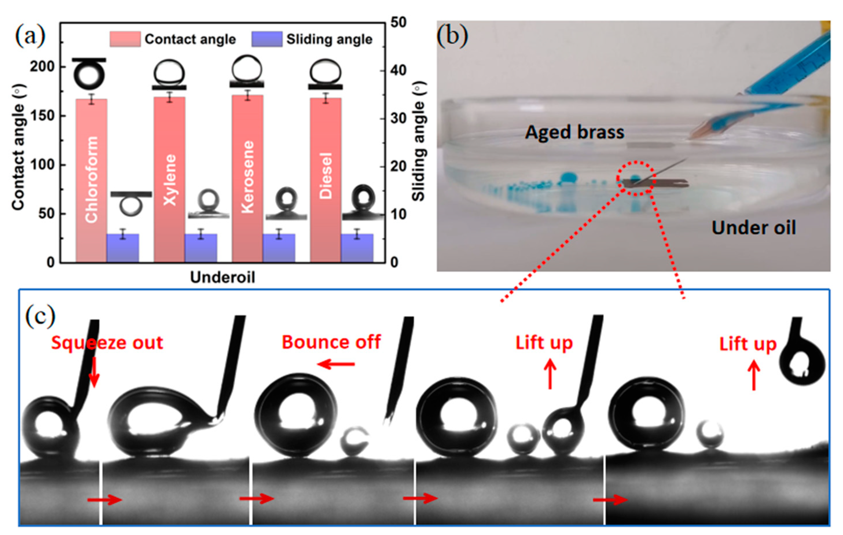 Molecules 28 06509 g007