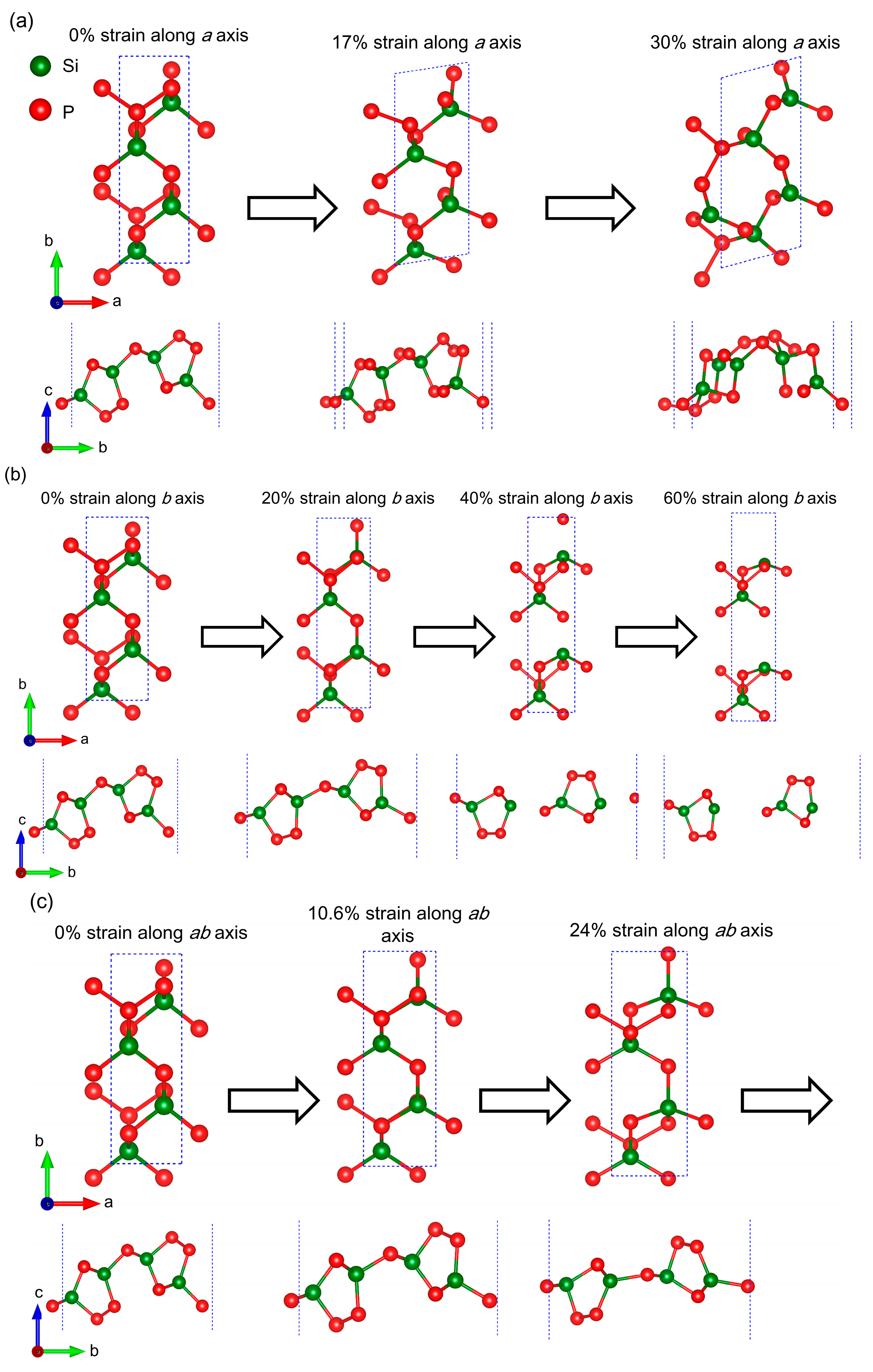 Molecules 28 06514 g006a