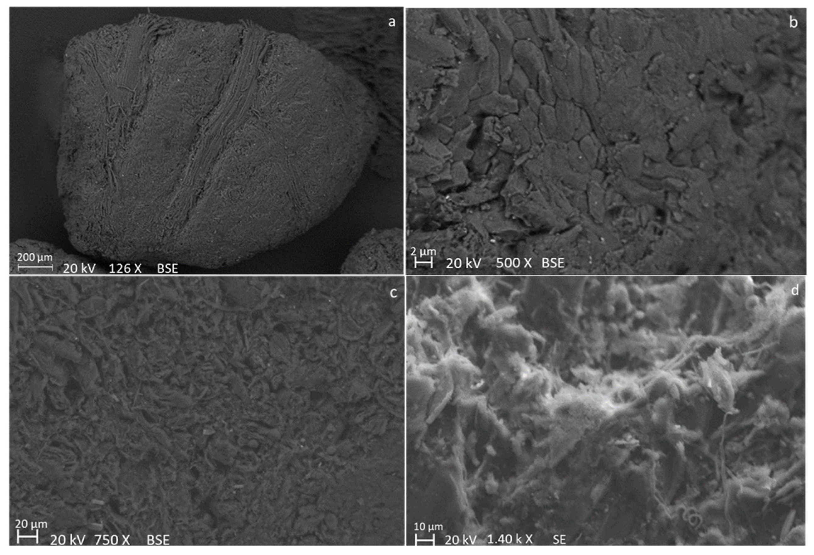 Molecules 28 06516 g001