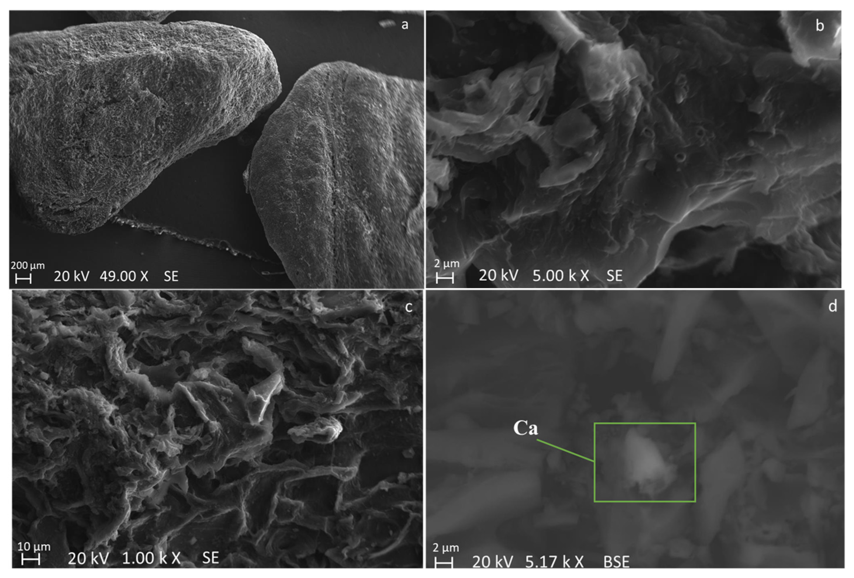 Molecules 28 06516 g009