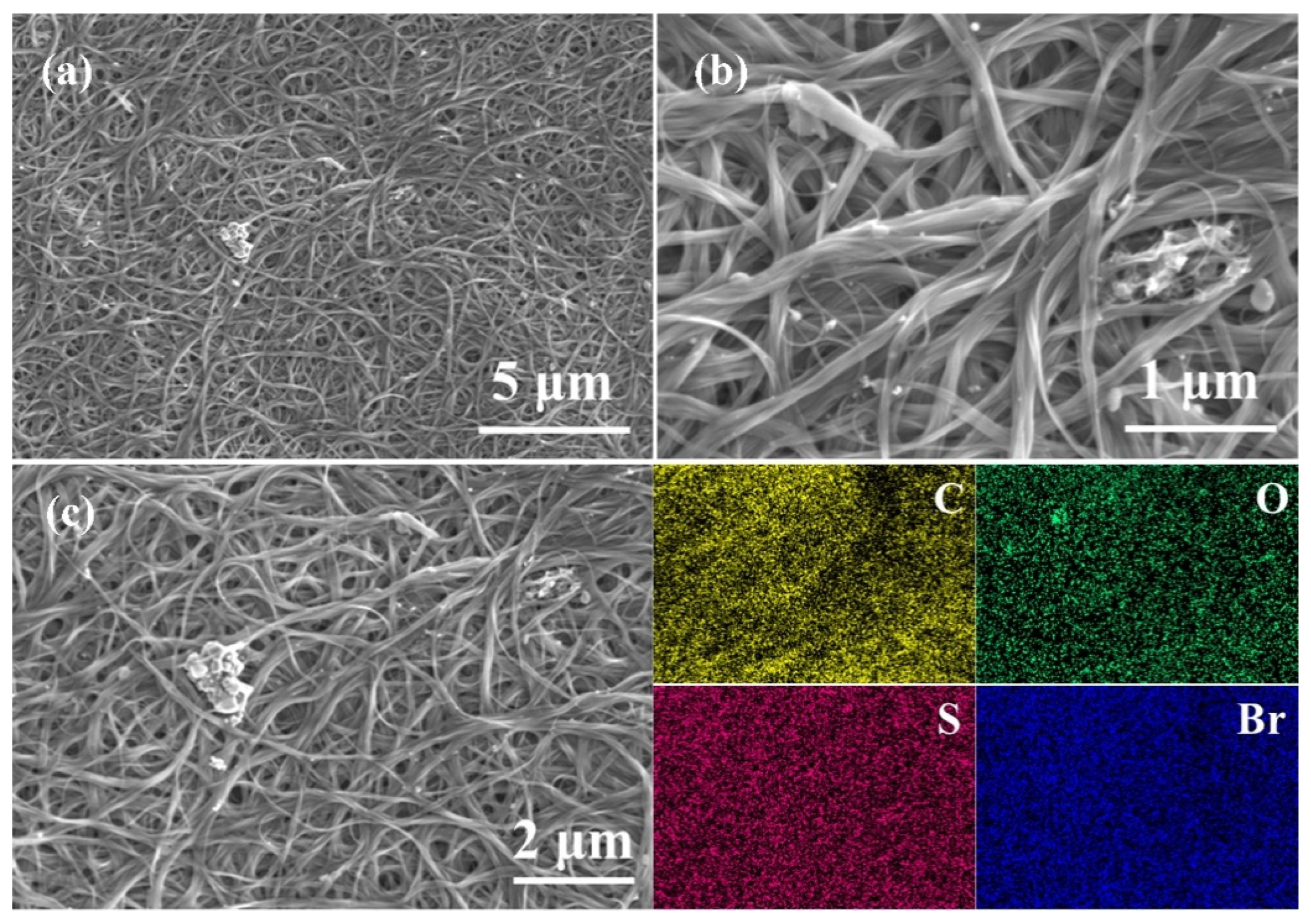 Molecules 28 06519 g002