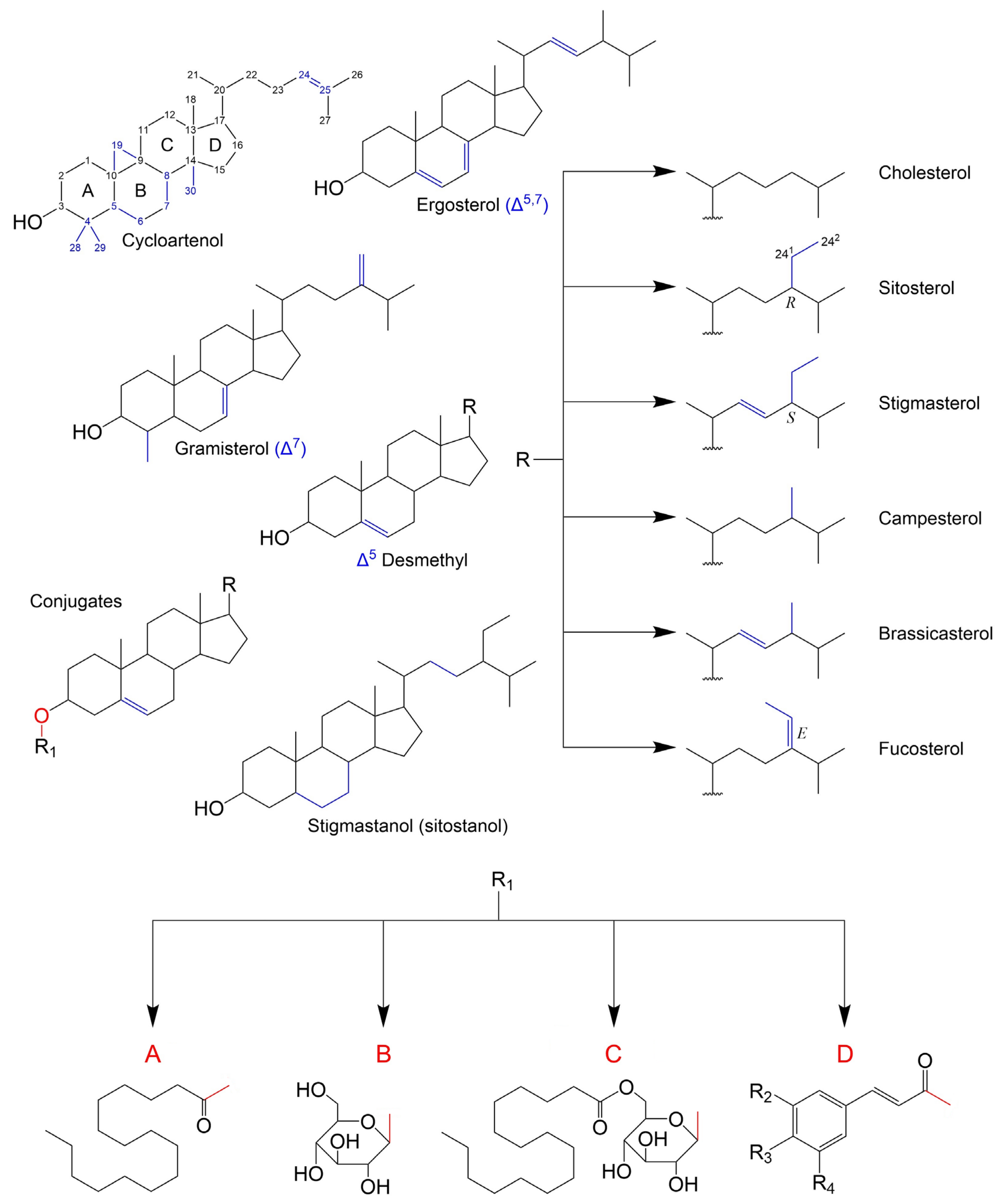 Molecules 28 06526 g001
