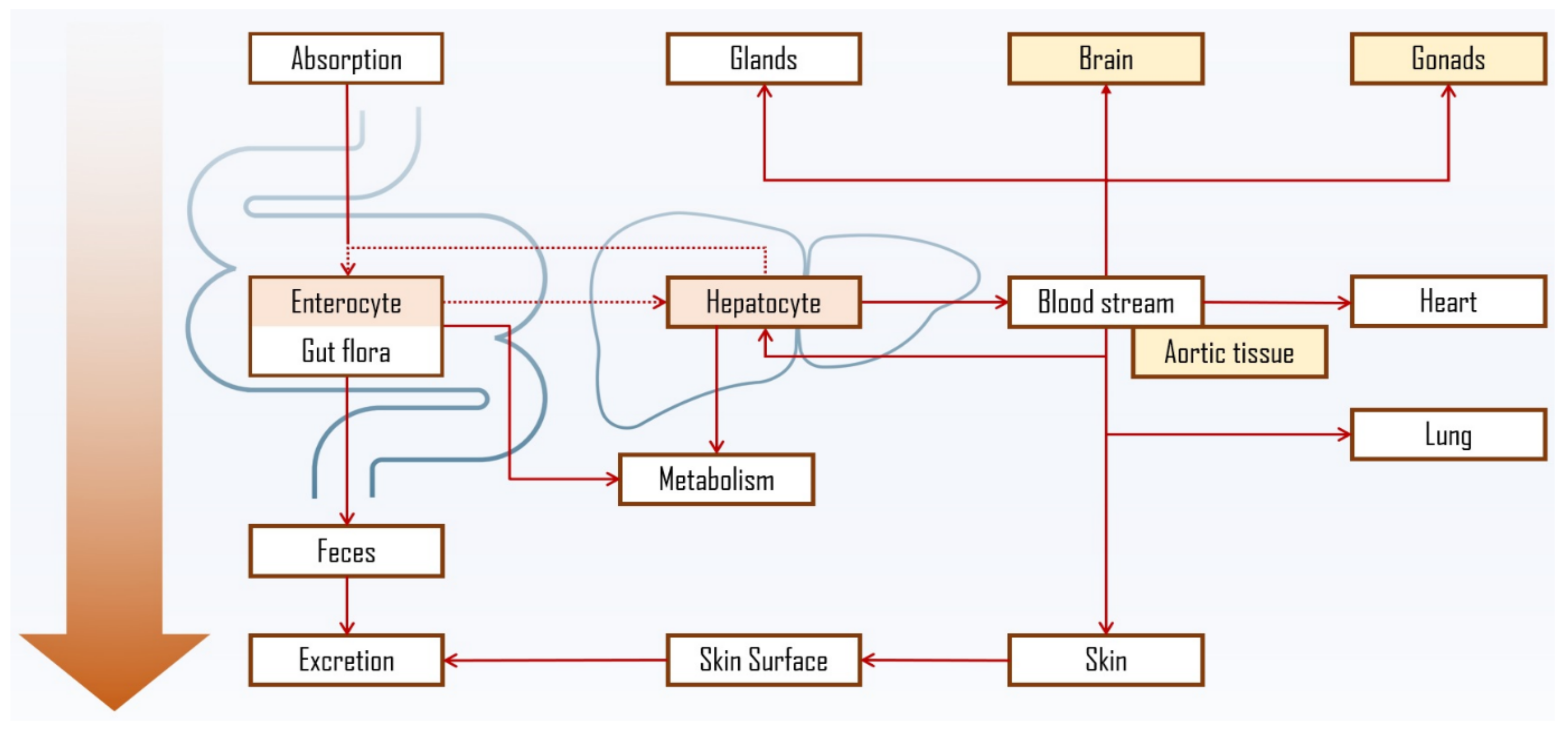 Molecules 28 06526 g006