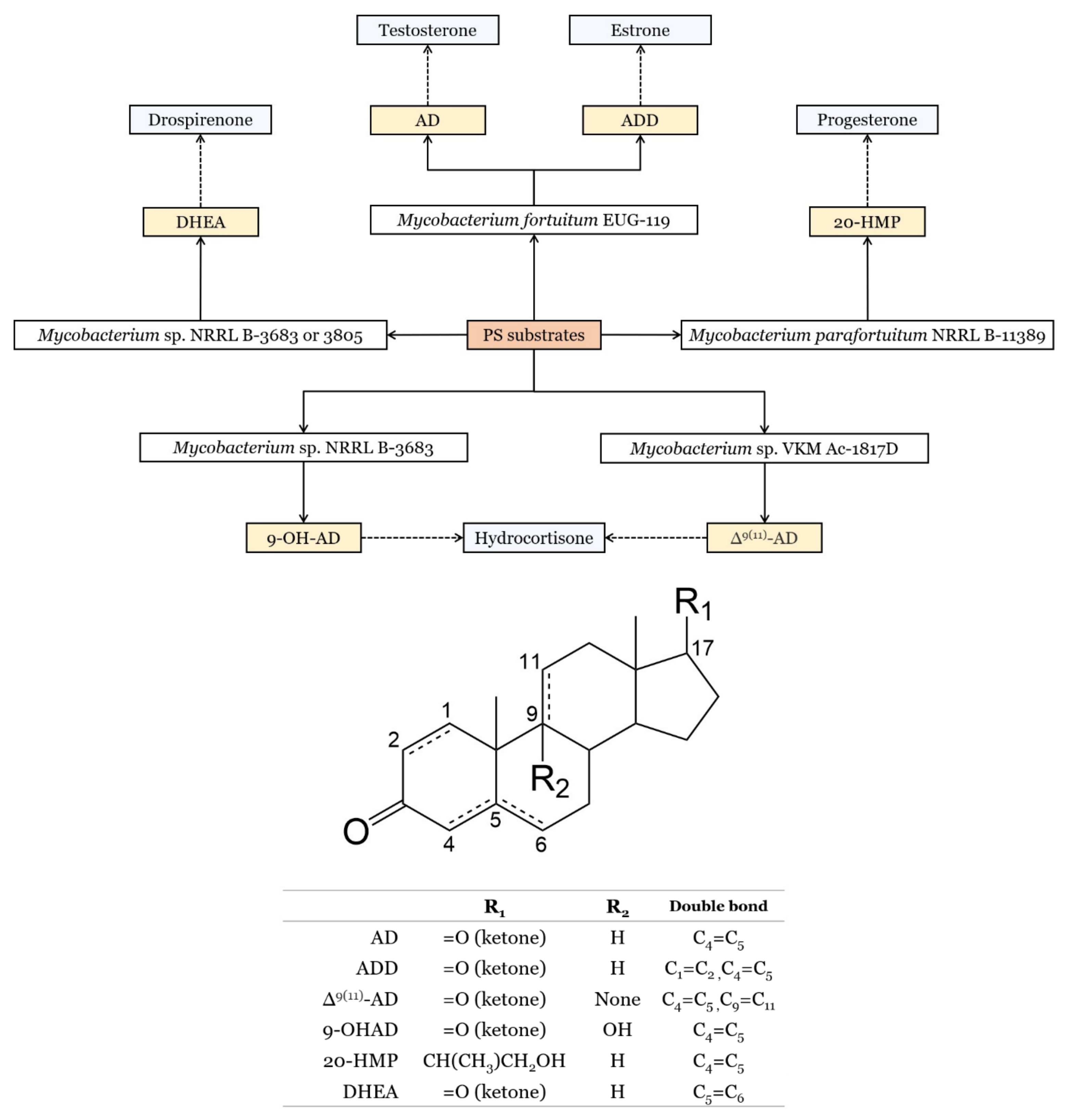 Molecules 28 06526 g011