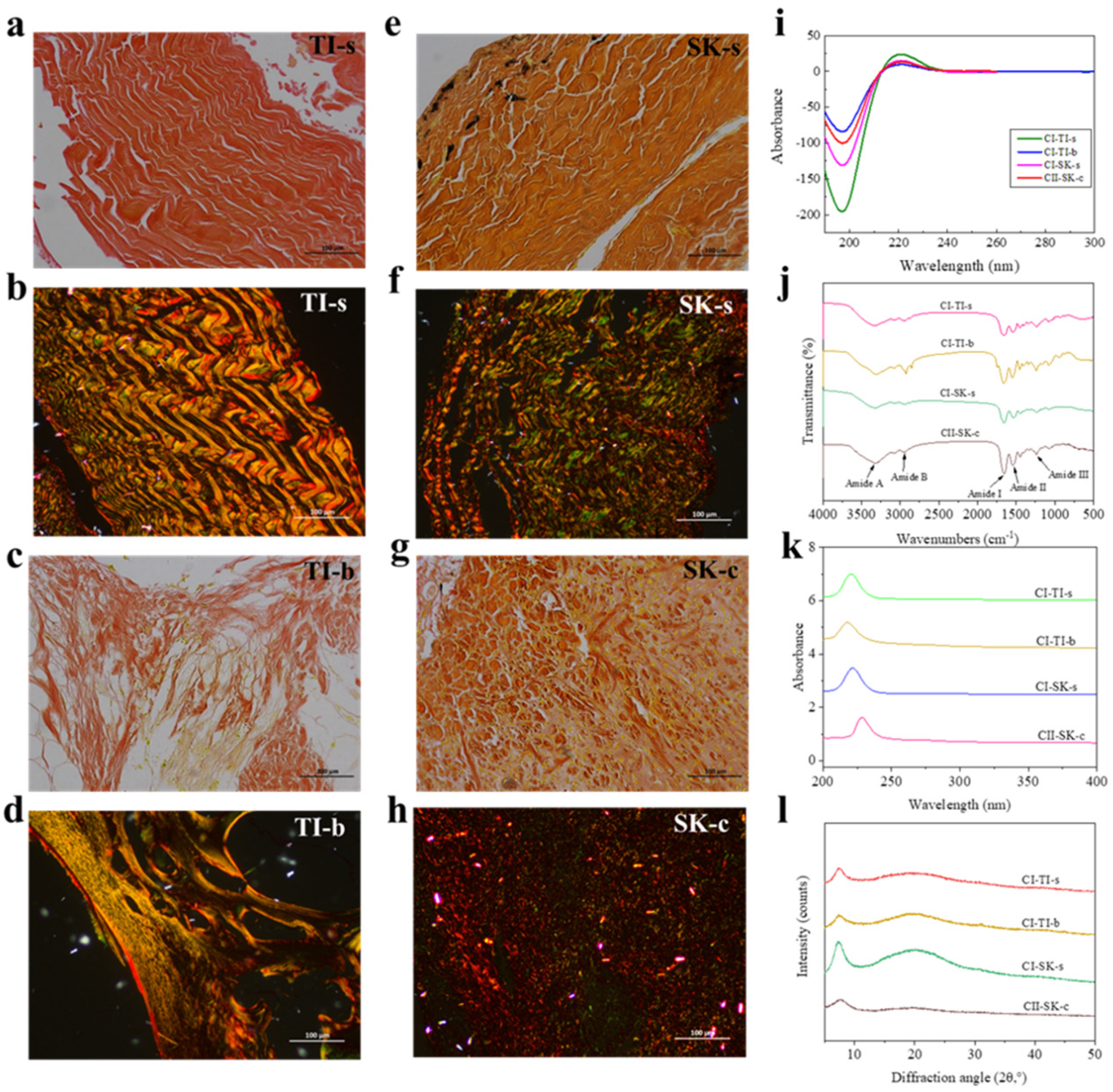 Molecules 28 06529 g001