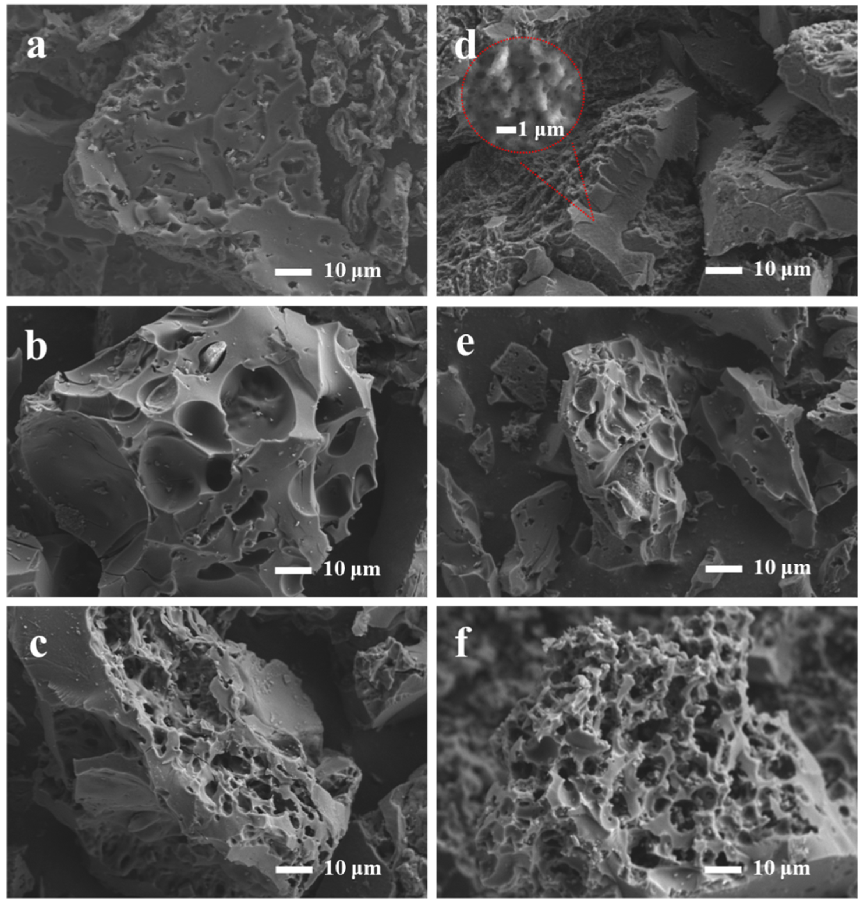 Molecules 28 06543 g001