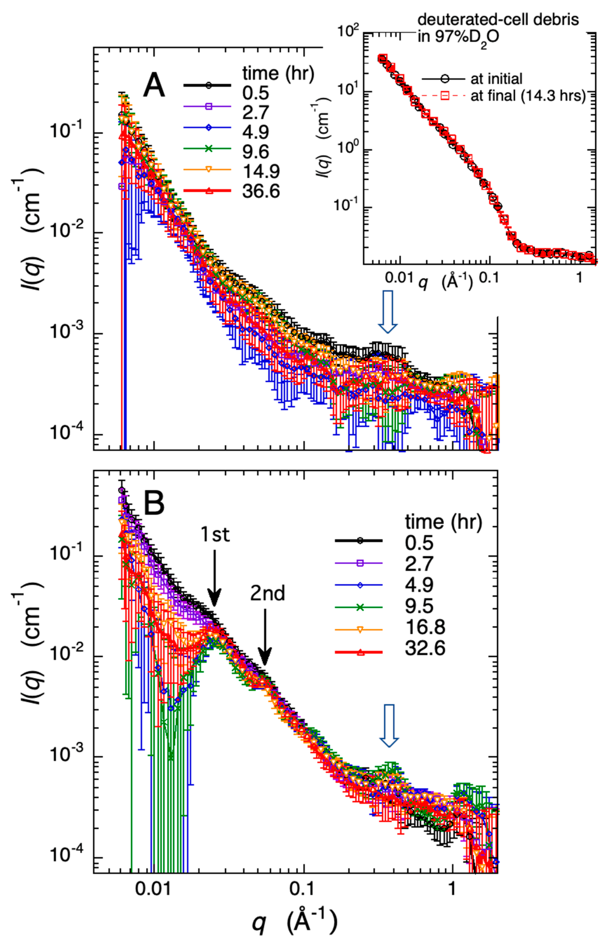 Molecules 28 06555 g006