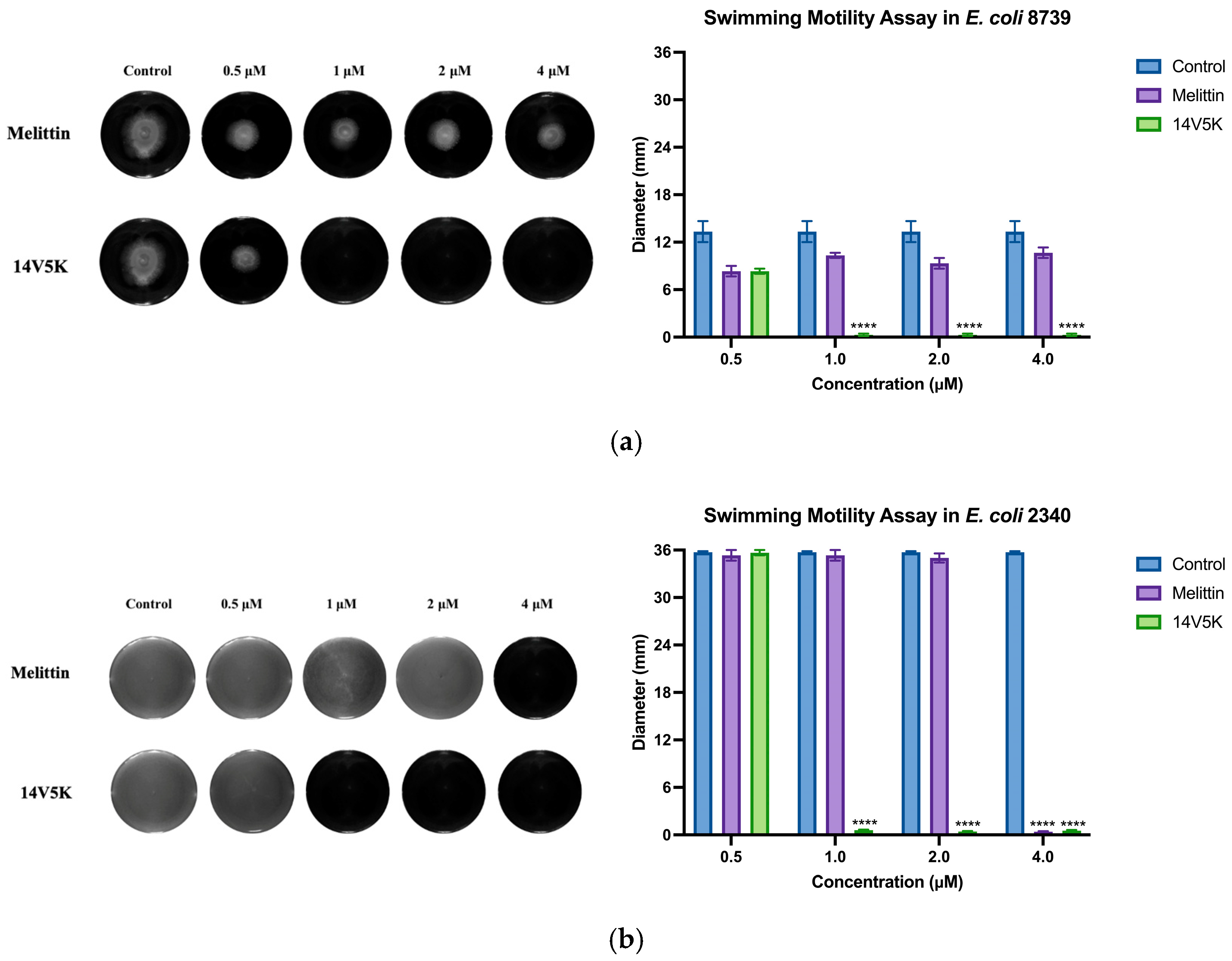 Molecules 28 06558 g009