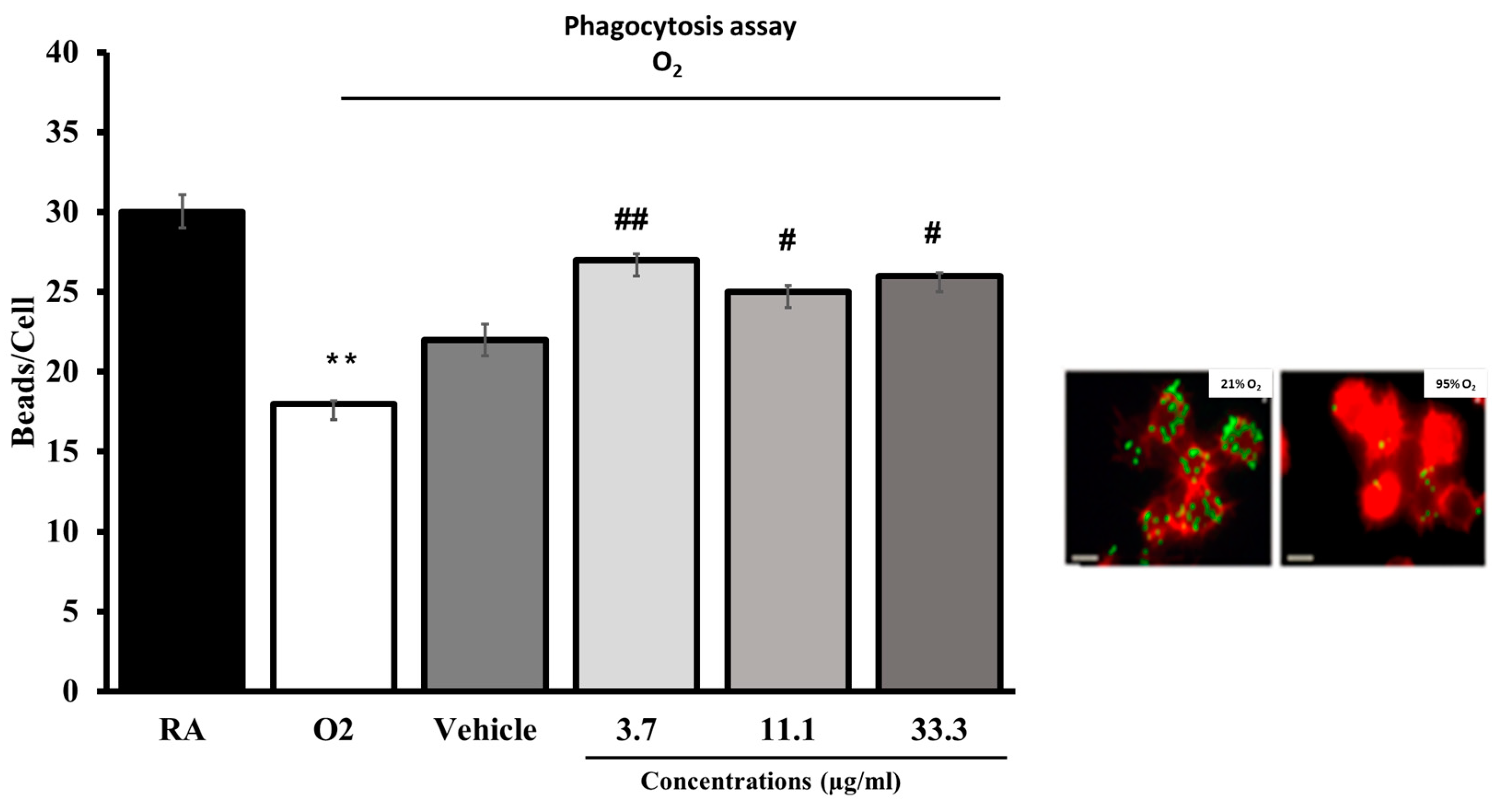 Molecules 28 06560 g006