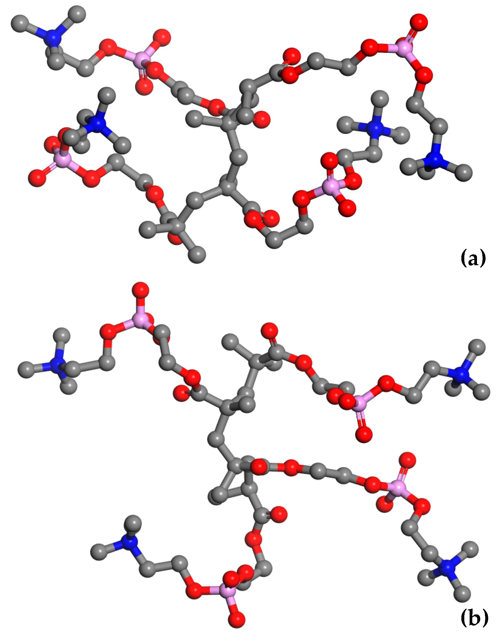 Molecules 28 06562 g004