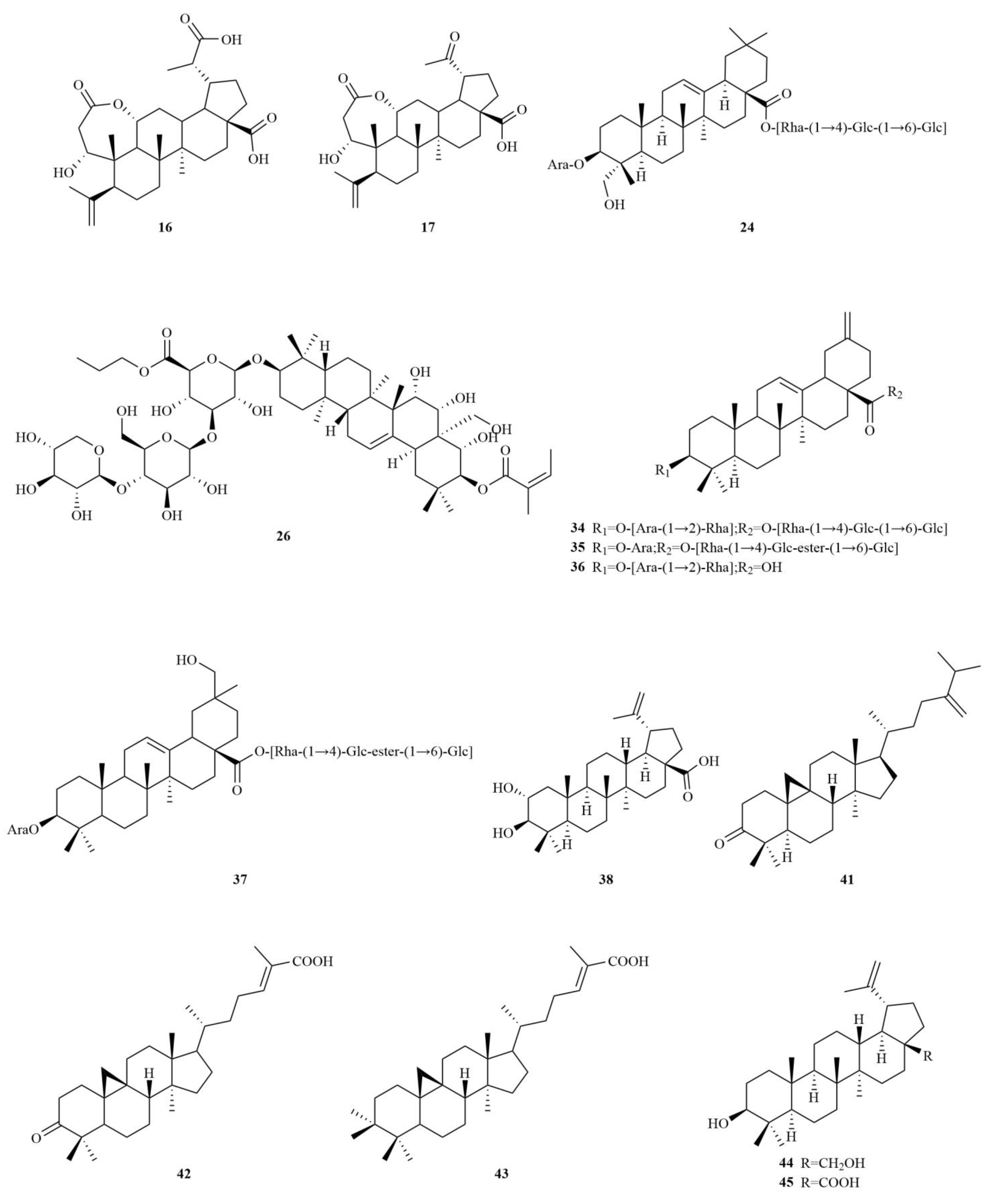 Molecules 28 06564 g002b
