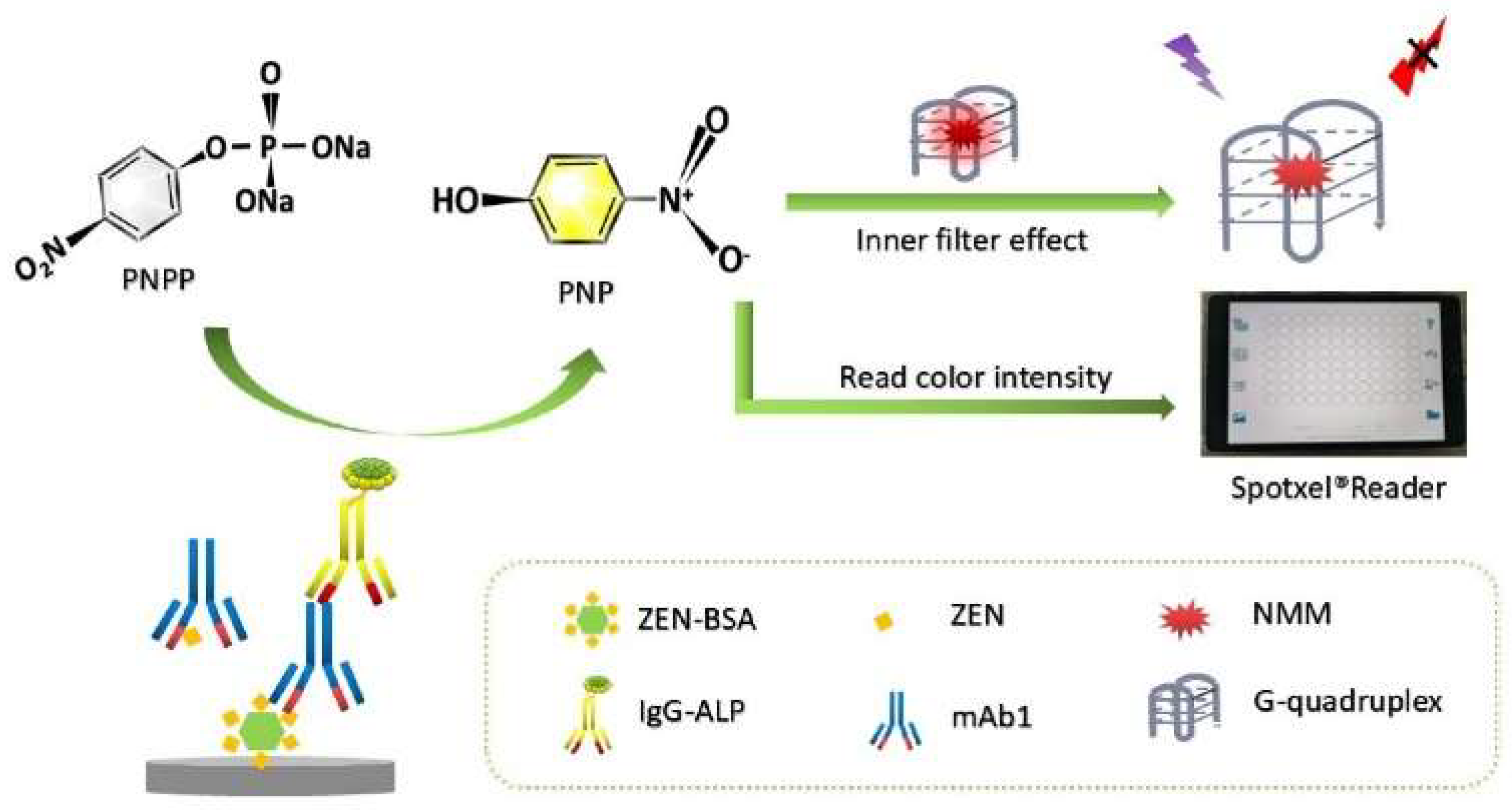 Molecules 28 06565 g002 Molecules 28 06565 g002