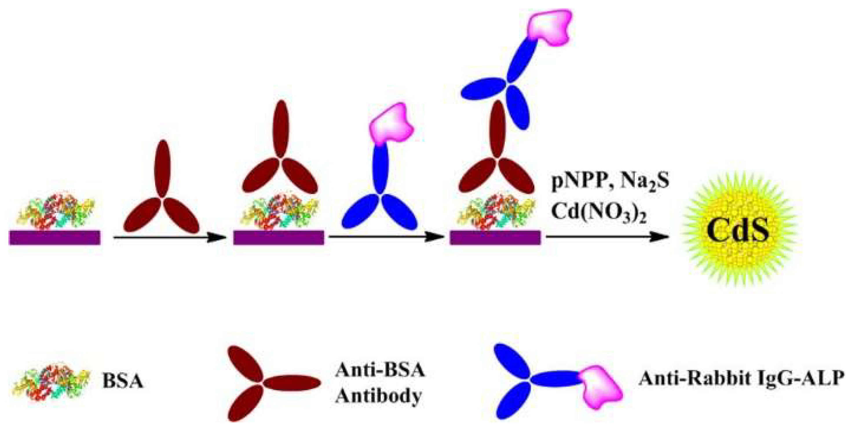 Molecules 28 06565 g012 Molecules 28 06565 g012