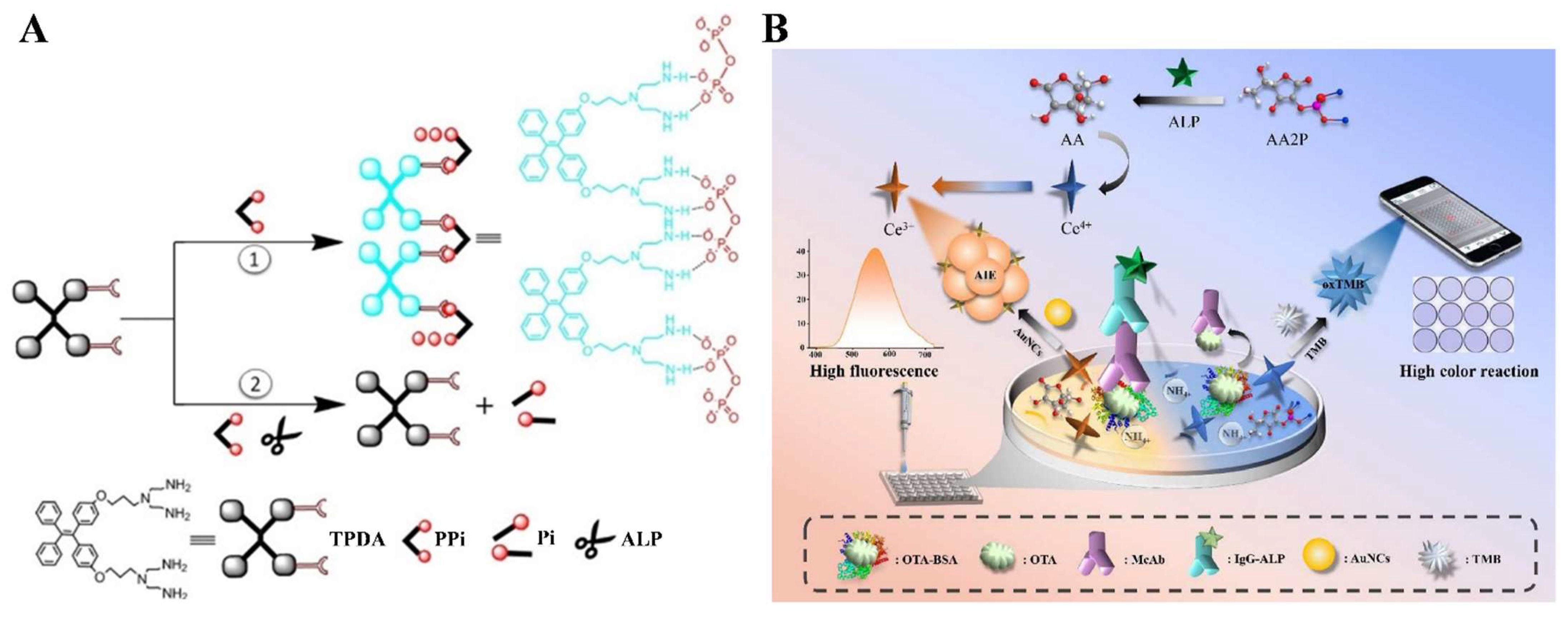 Molecules 28 06565 g013 Molecules 28 06565 g013