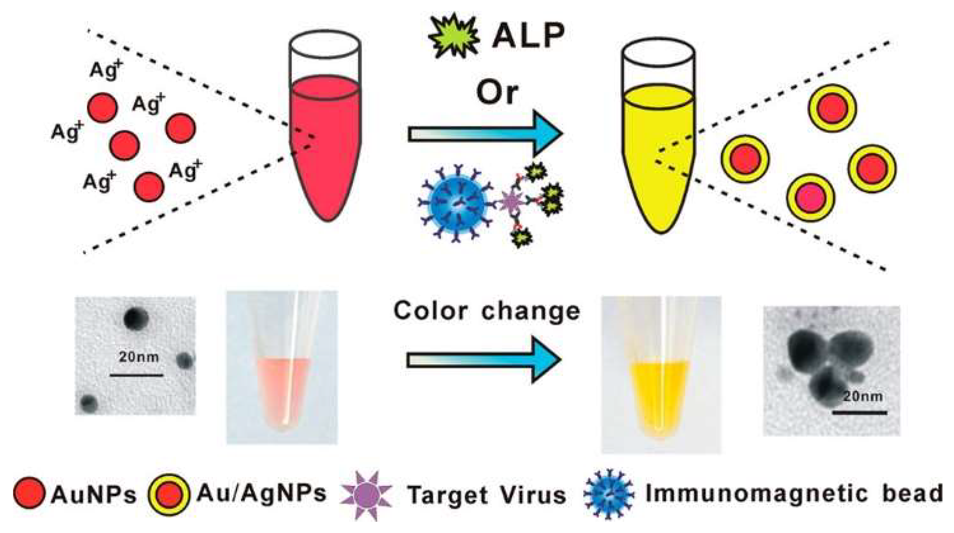 Molecules 28 06565 g019 Molecules 28 06565 g019