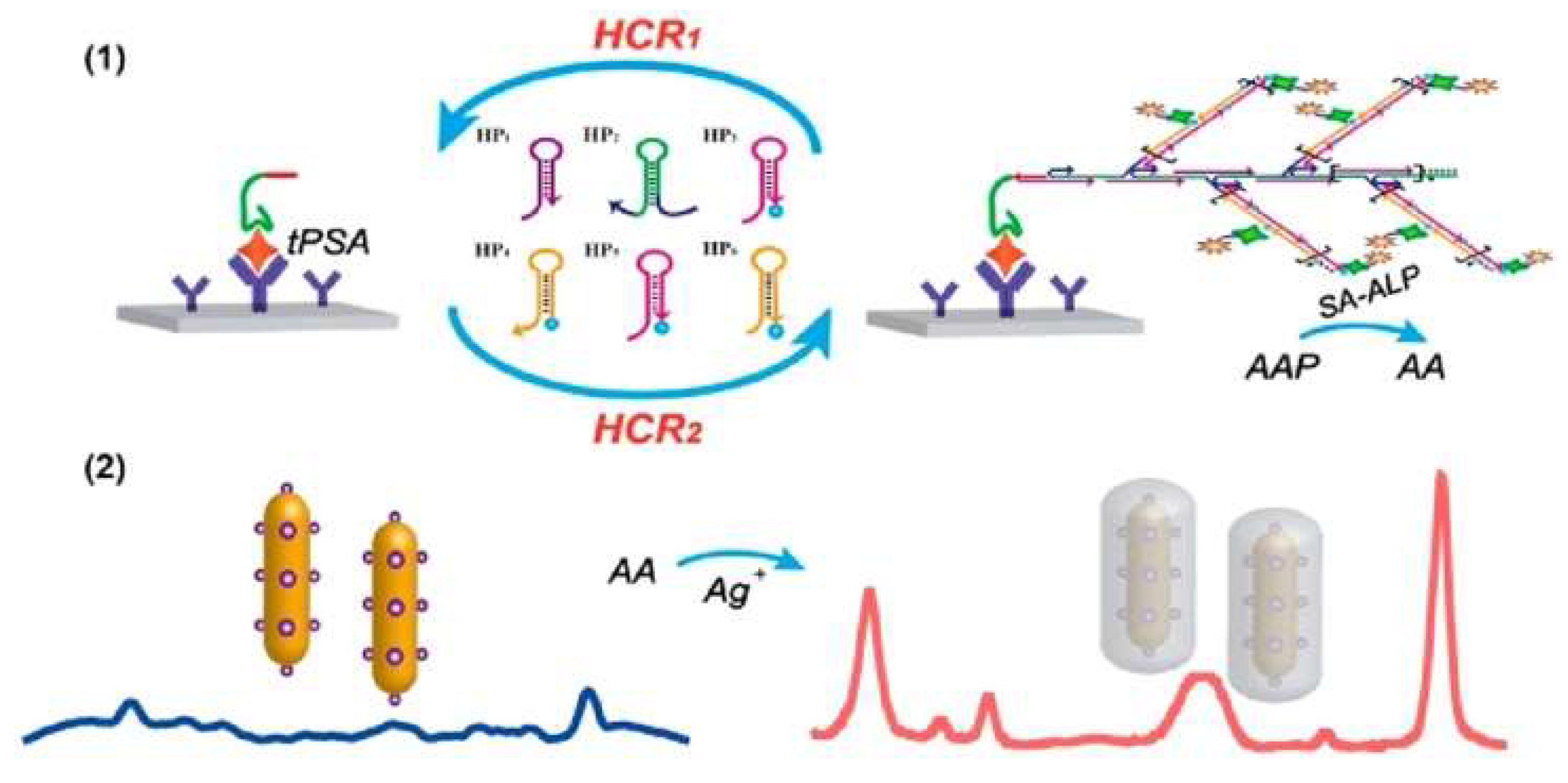 Molecules 28 06565 g025 Molecules 28 06565 g025