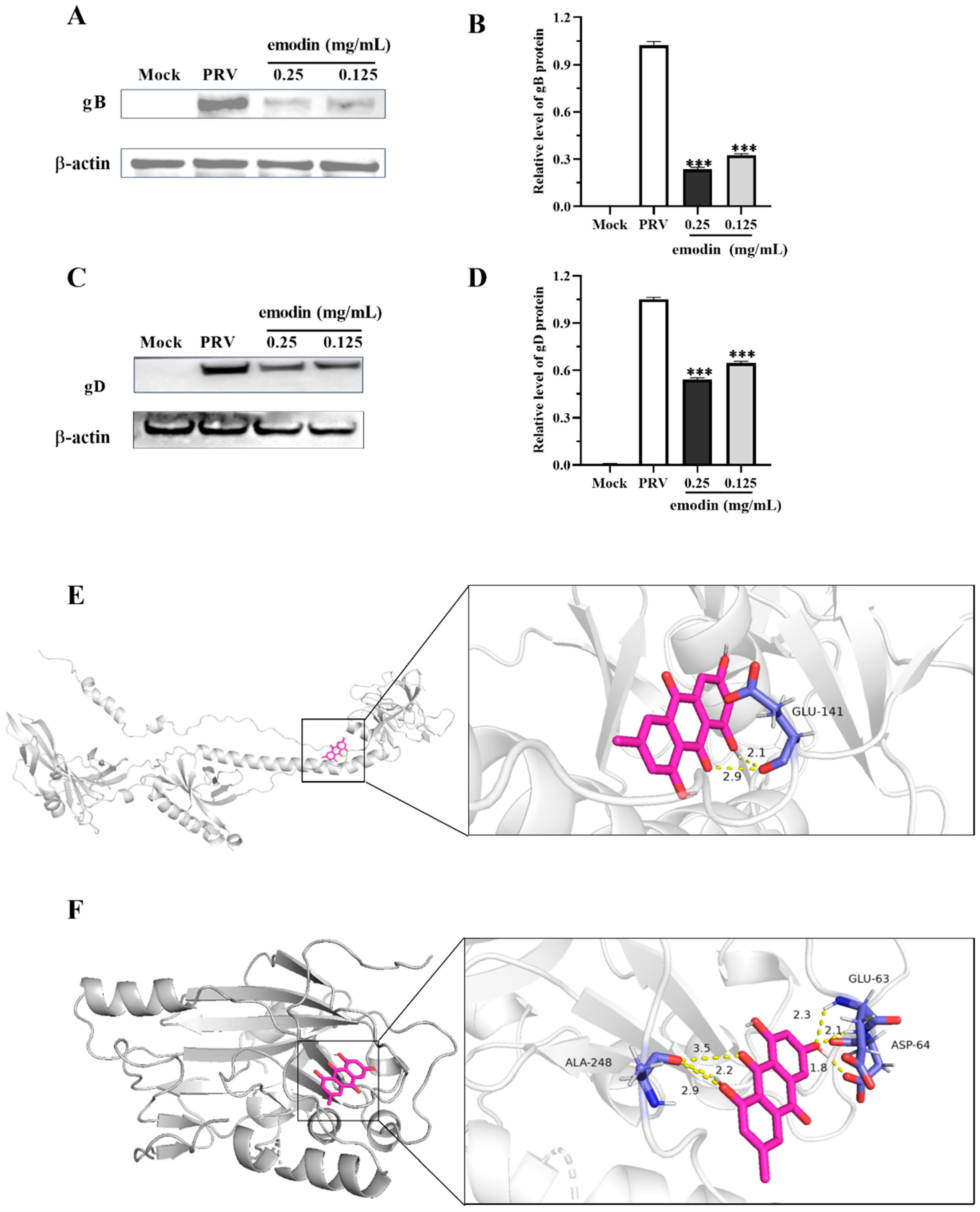 Molecules 28 06567 g004