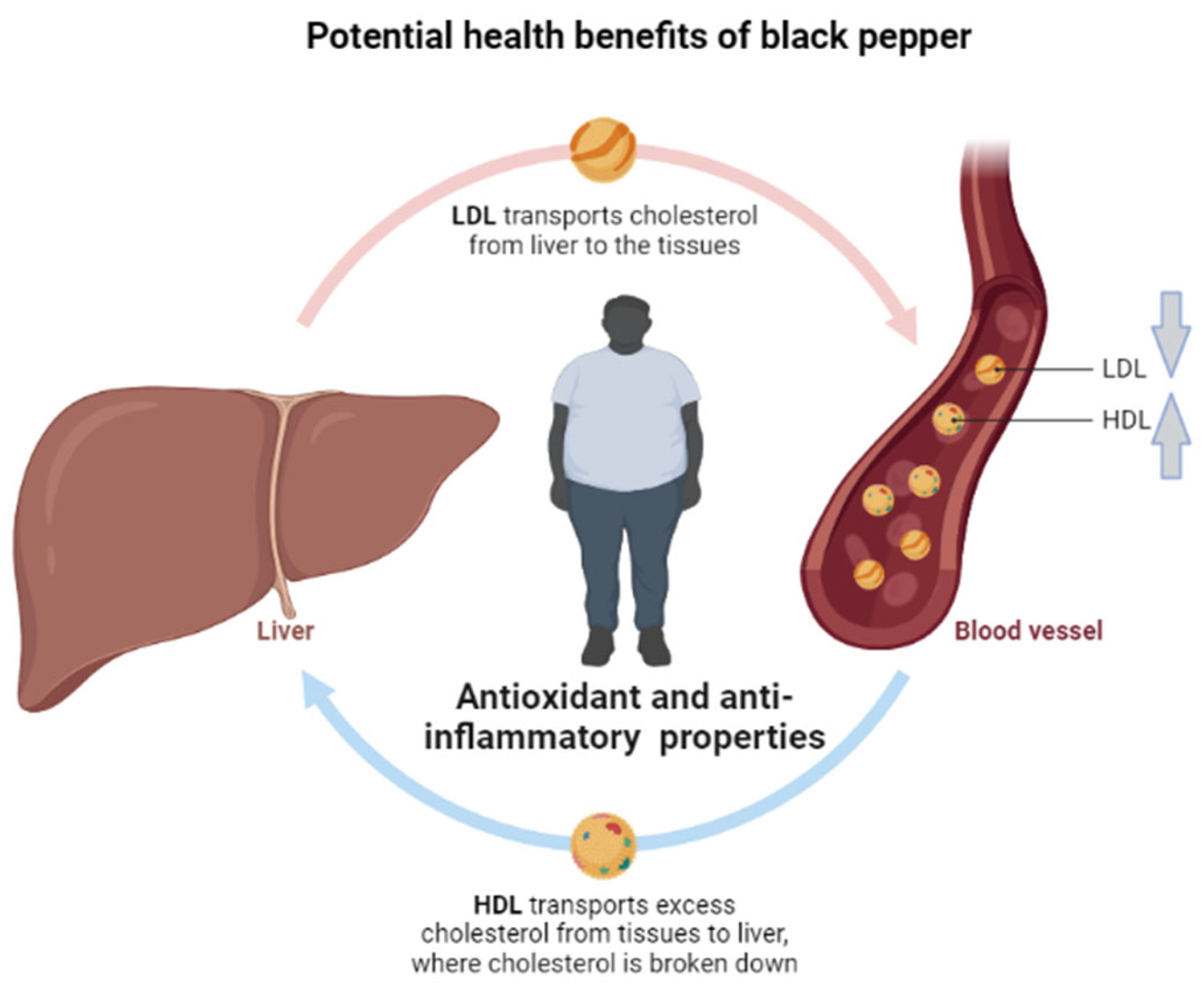 Molecules 28 06569 g004 Molecules 28 06569 g004