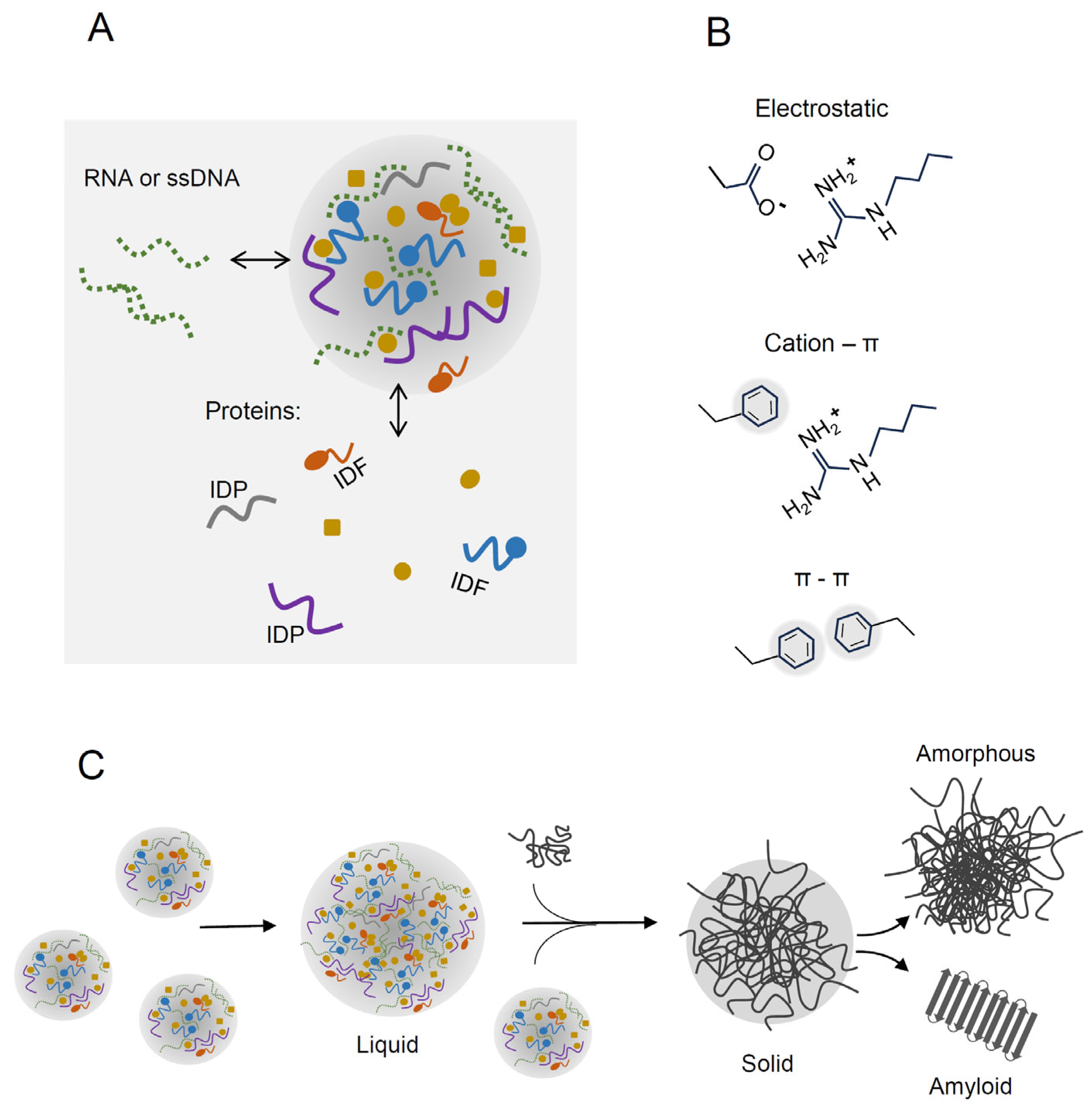 Molecules 28 06582 g001