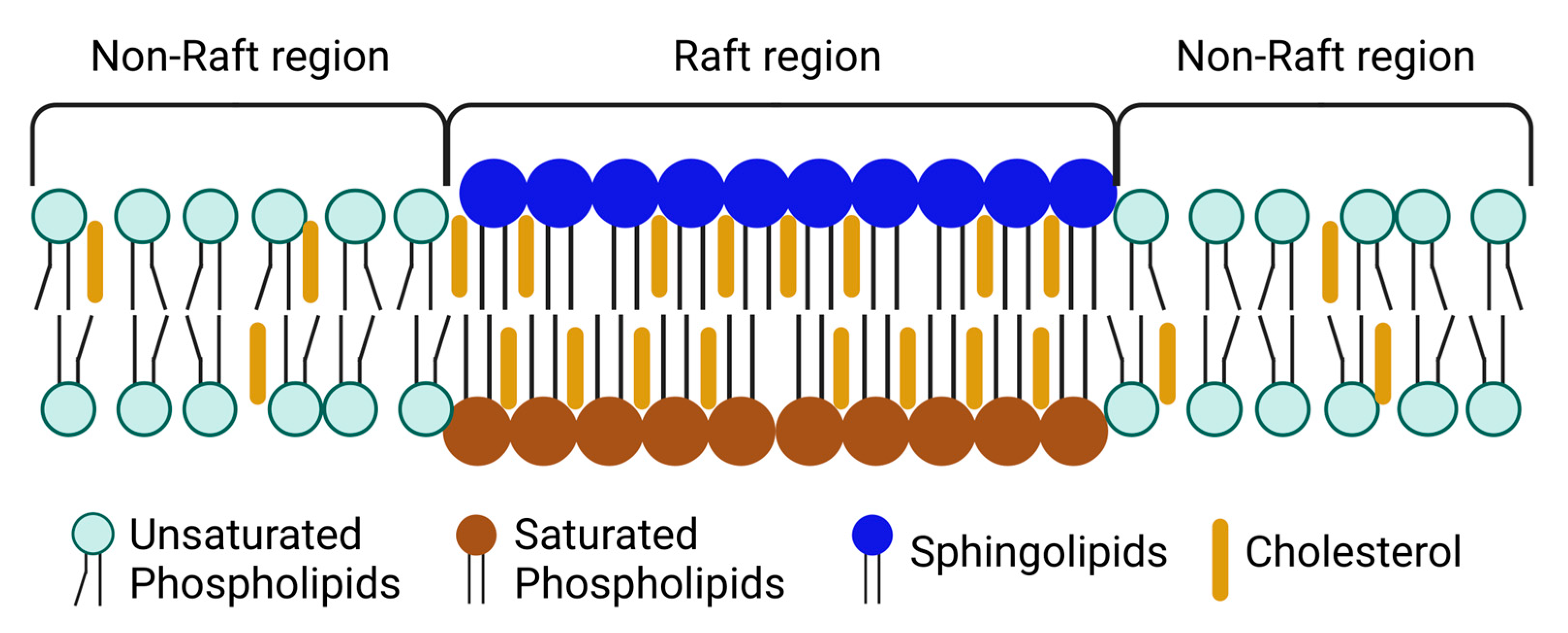 Molecules 28 06598 g001