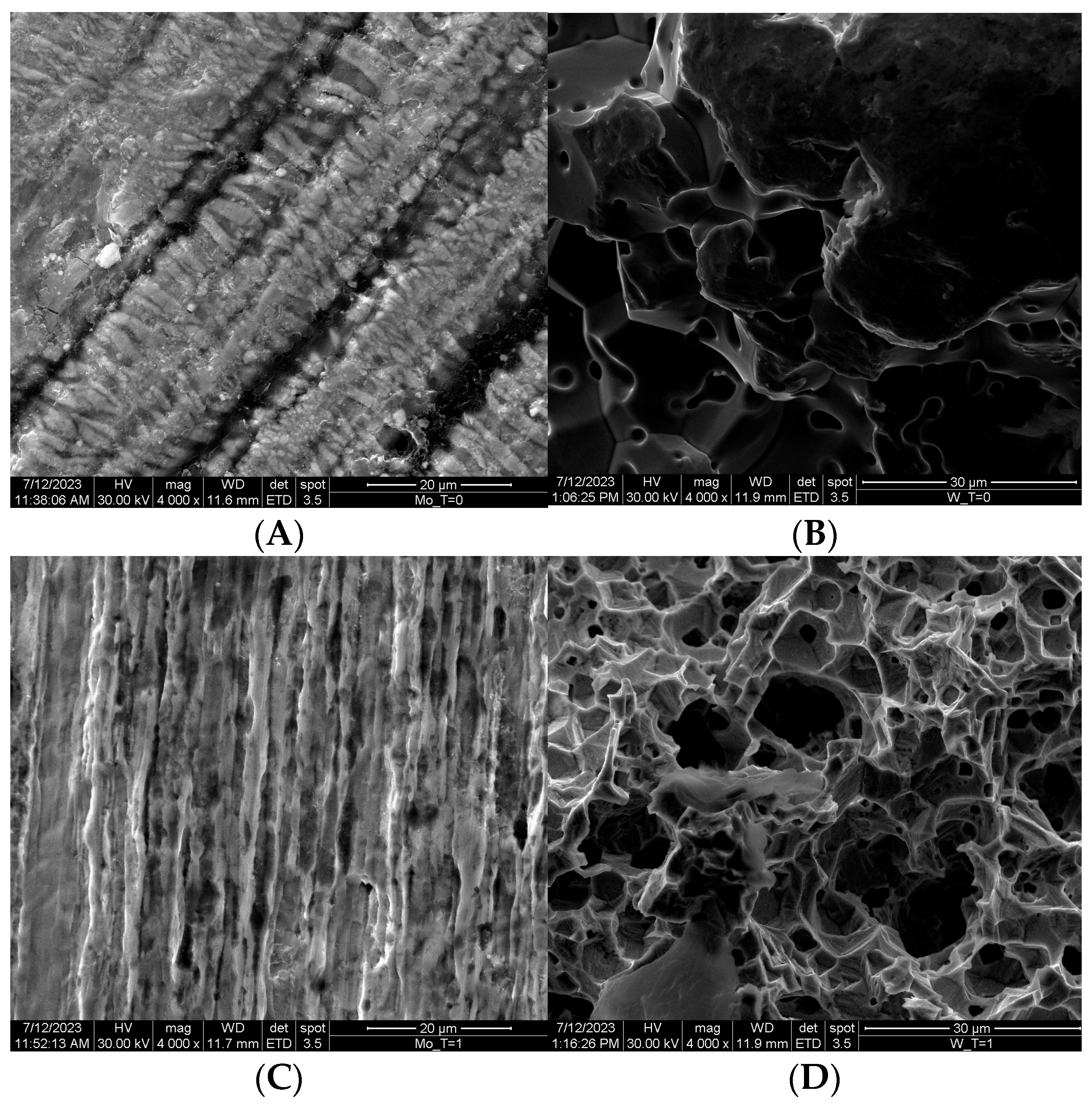 Molecules 28 06602 g002