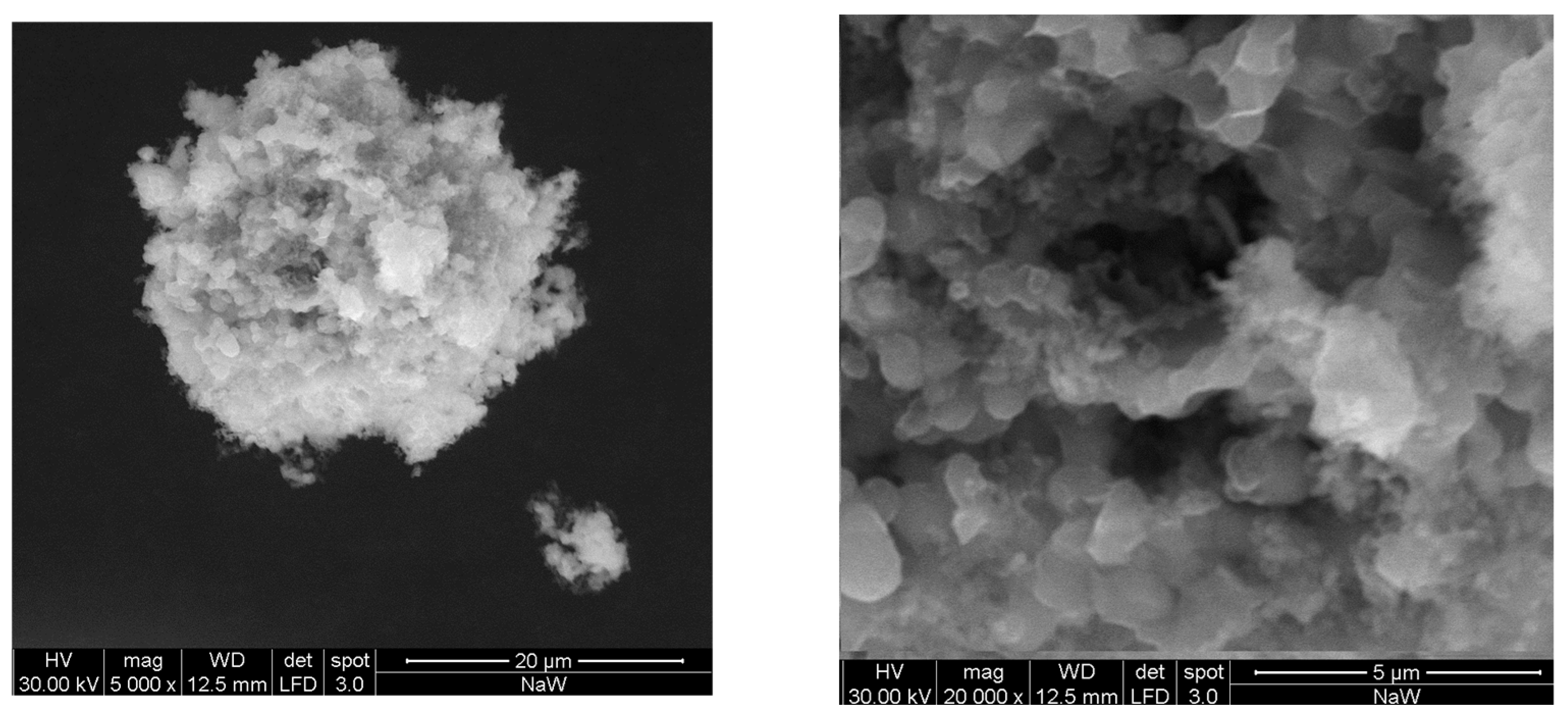 Molecules 28 06602 g006