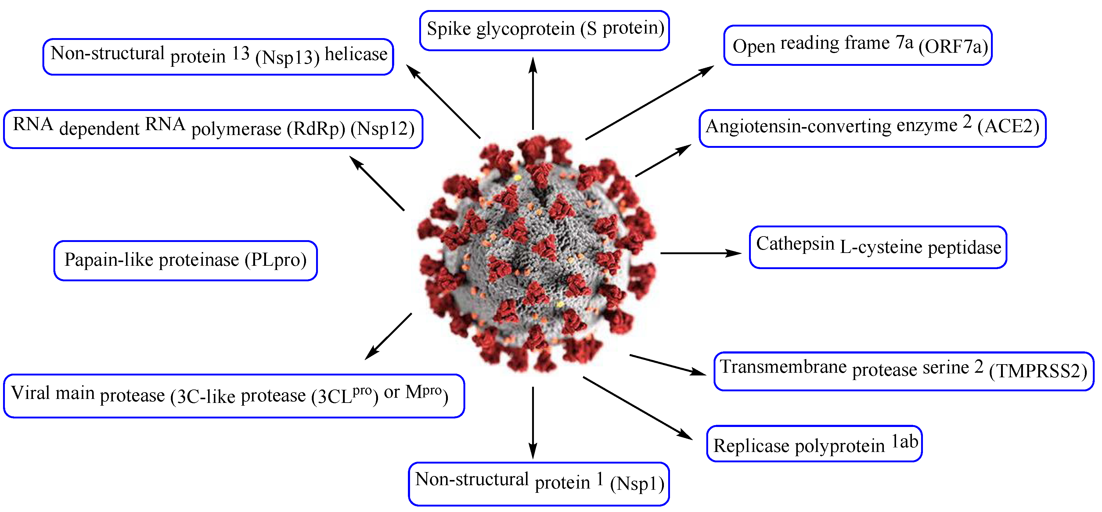Molecules 28 06603 g004