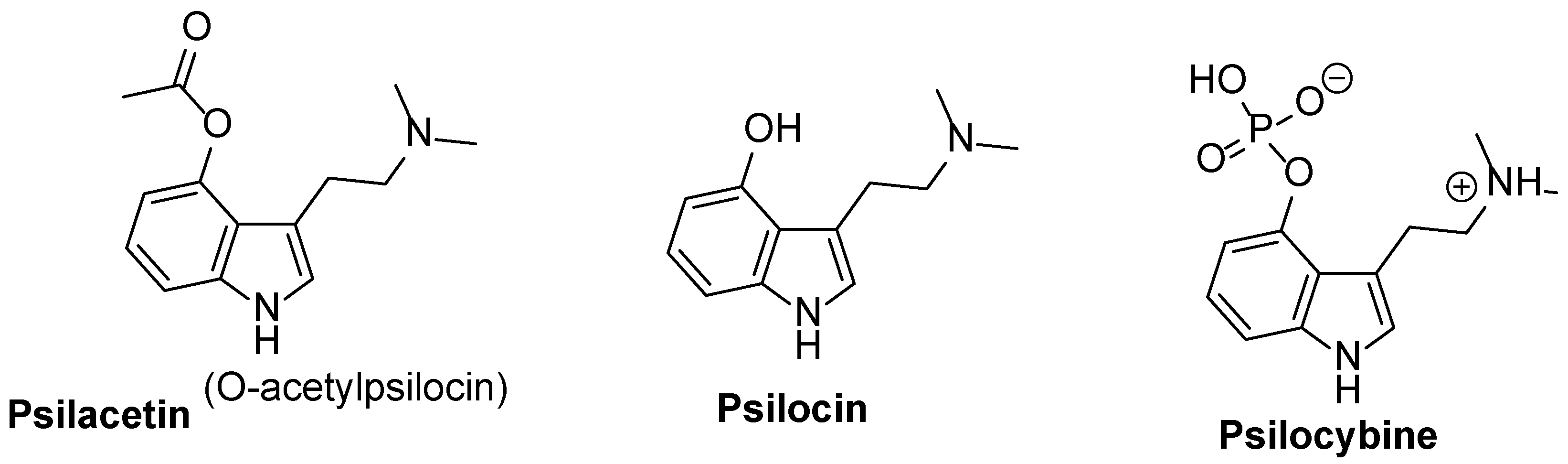 Molecules 28 06603 g025