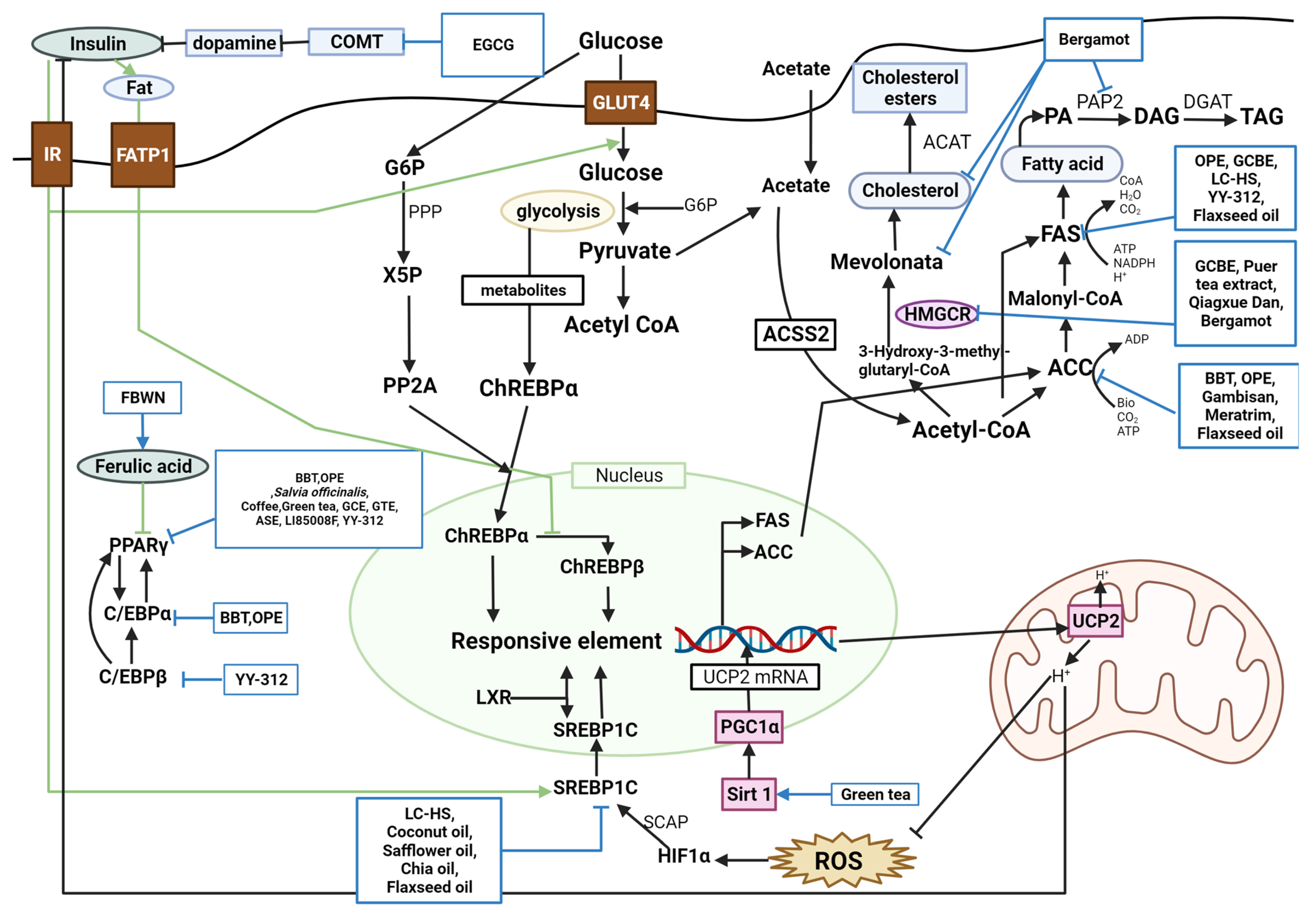 Molecules 28 06604 g002 Molecules 28 06604 g002