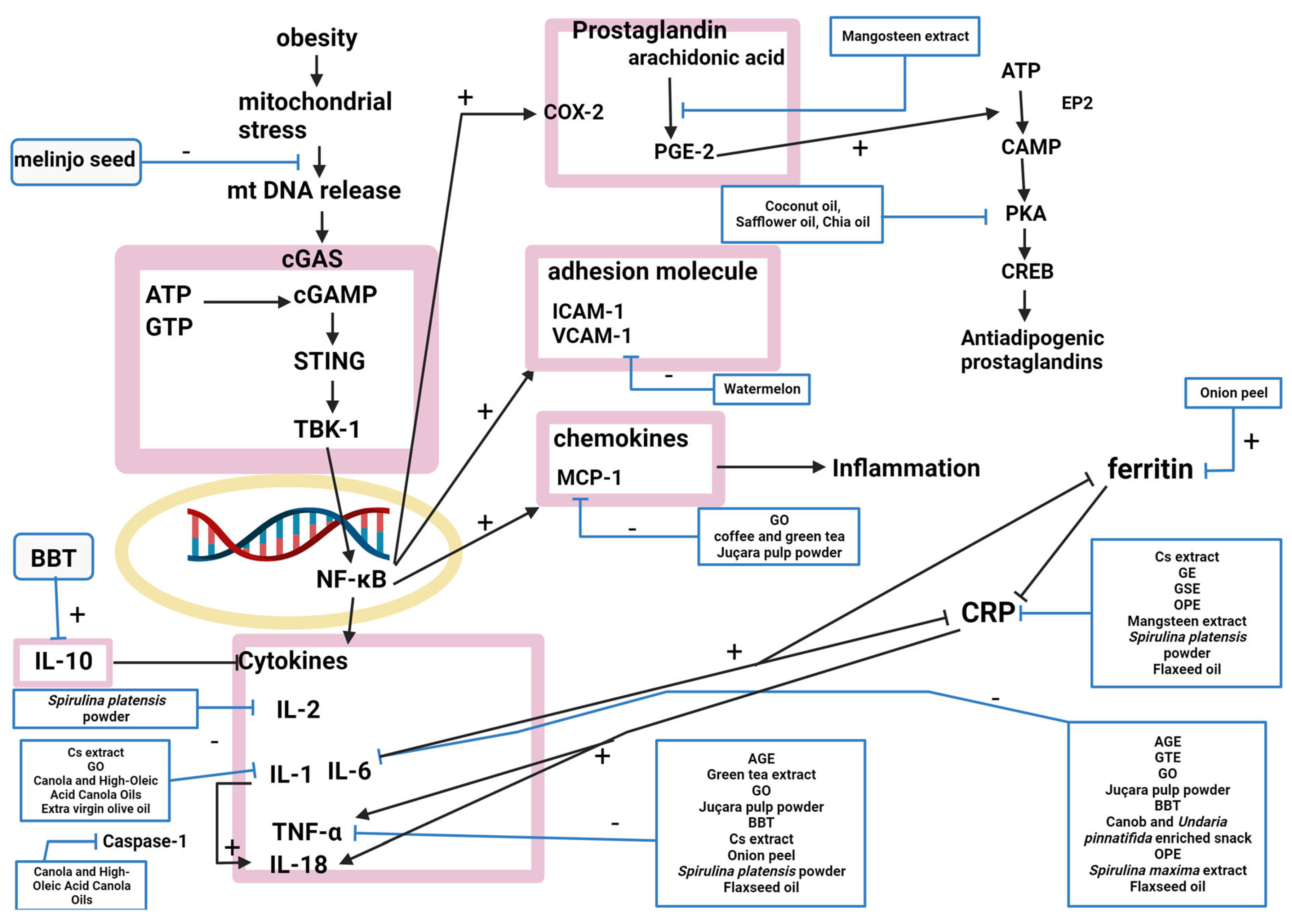 Molecules 28 06604 g003 Molecules 28 06604 g003