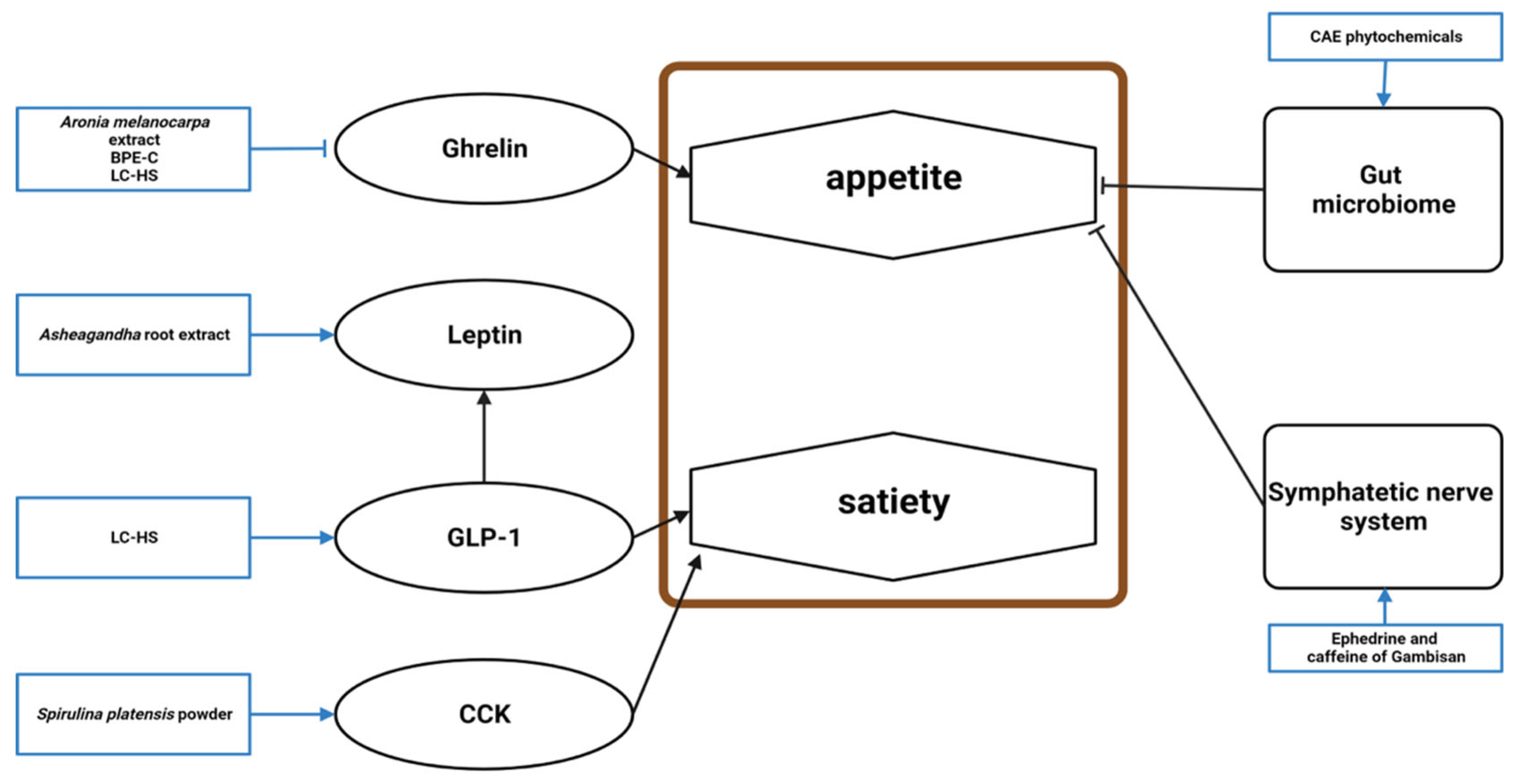 Molecules 28 06604 g005 Molecules 28 06604 g005