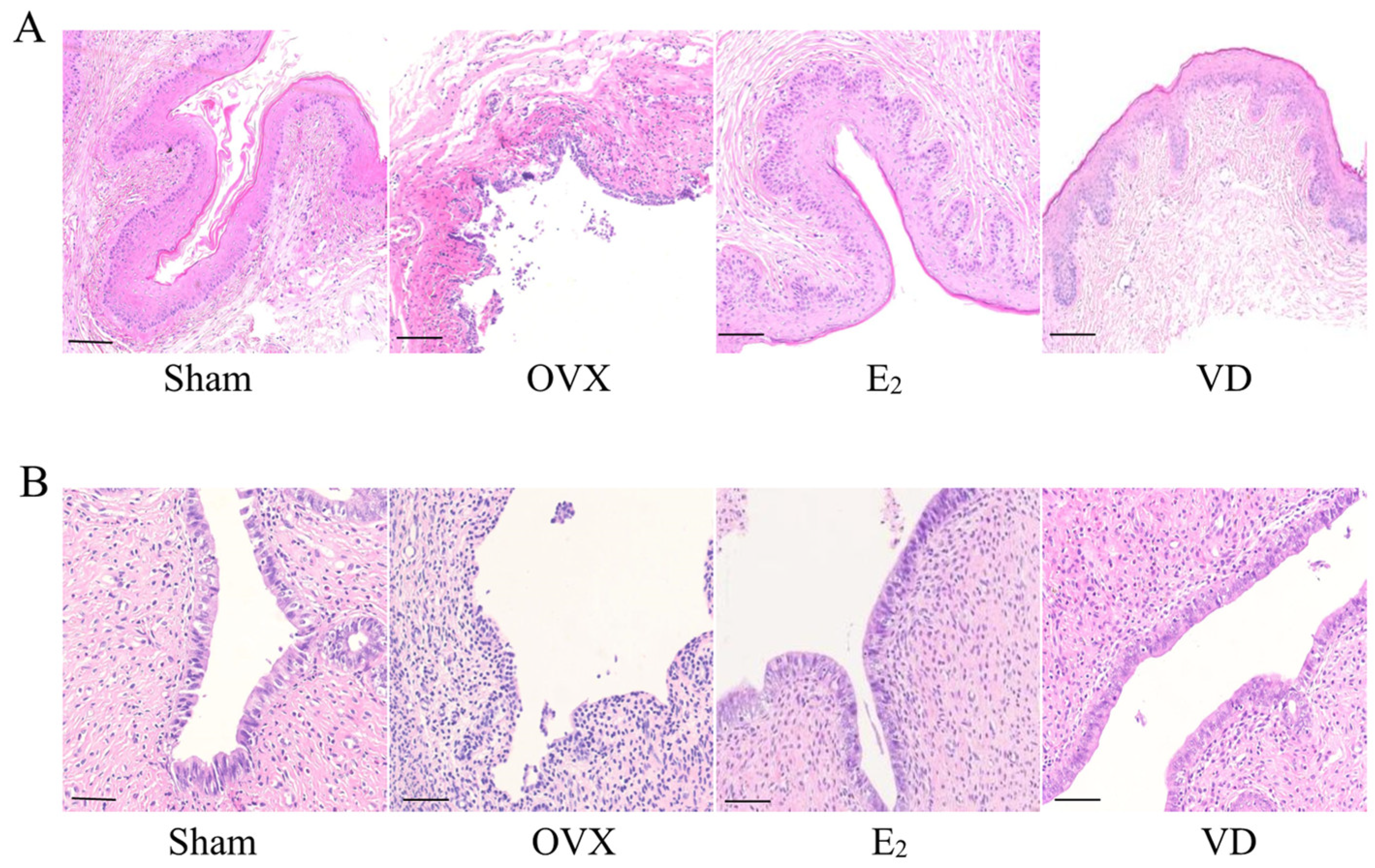 Molecules 28 06605 g003
