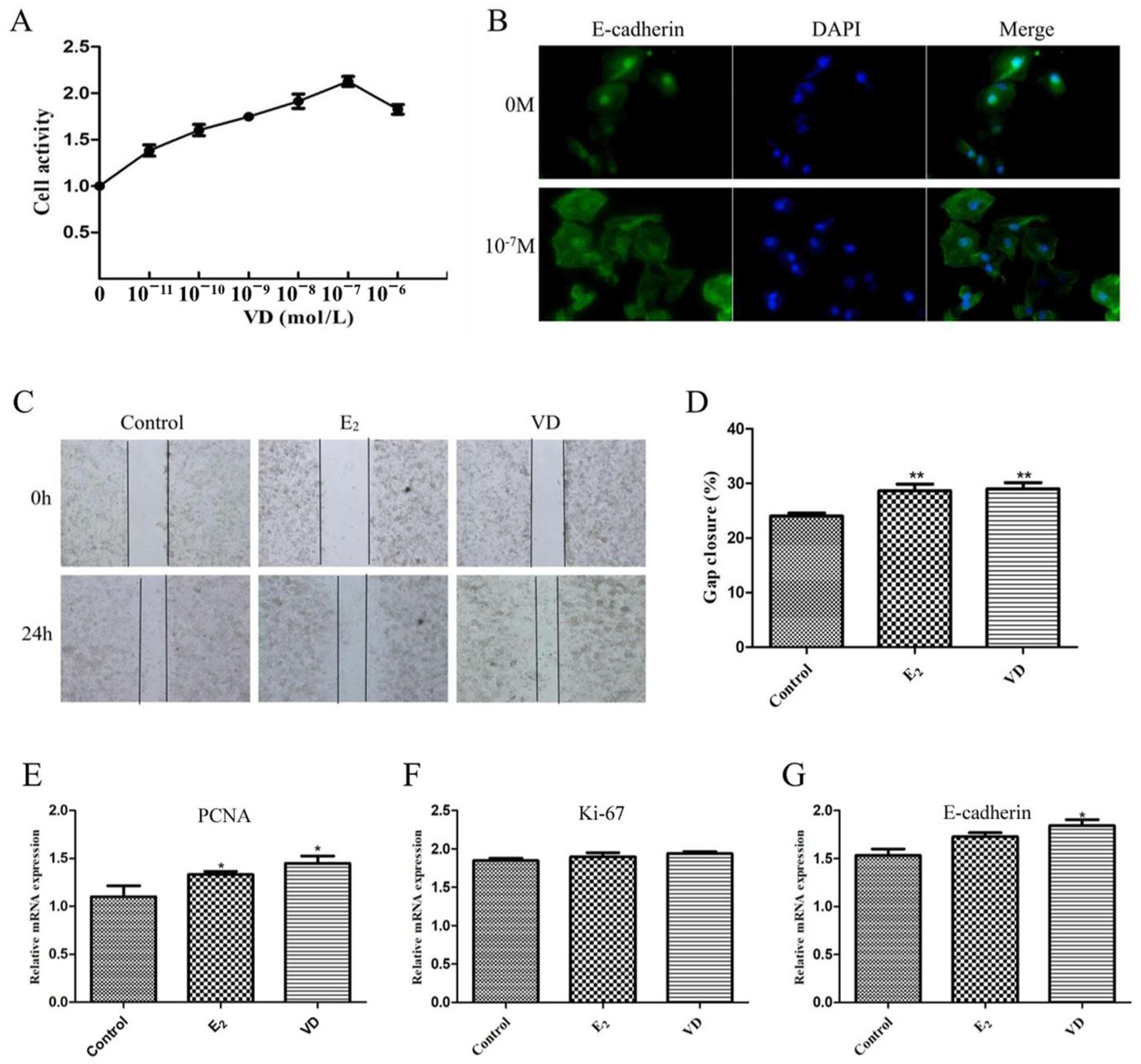 Molecules 28 06605 g006