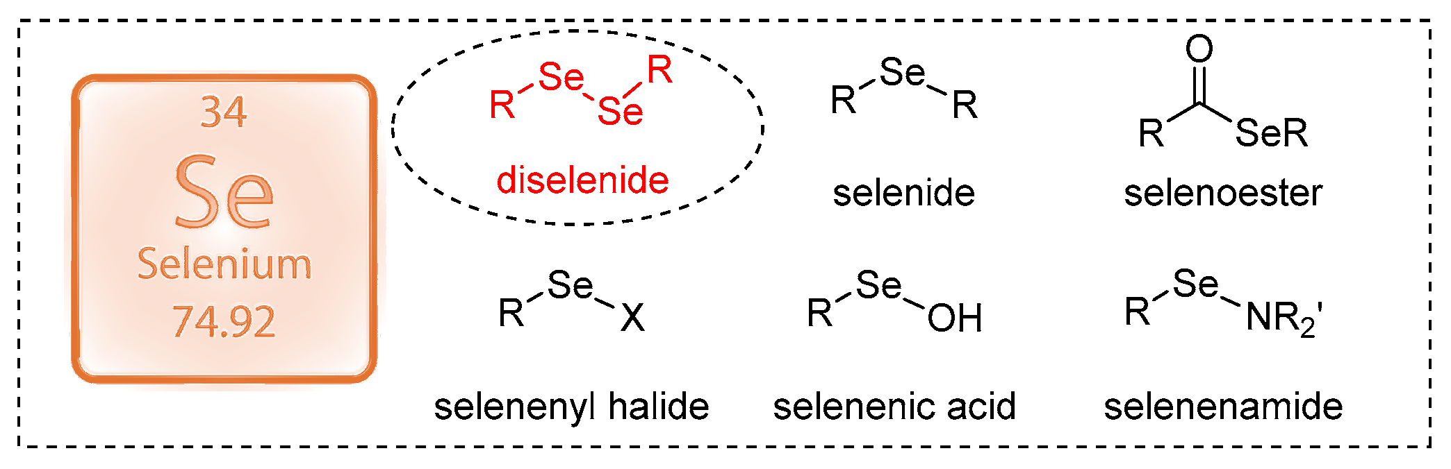 Molecules 28 06614 g001