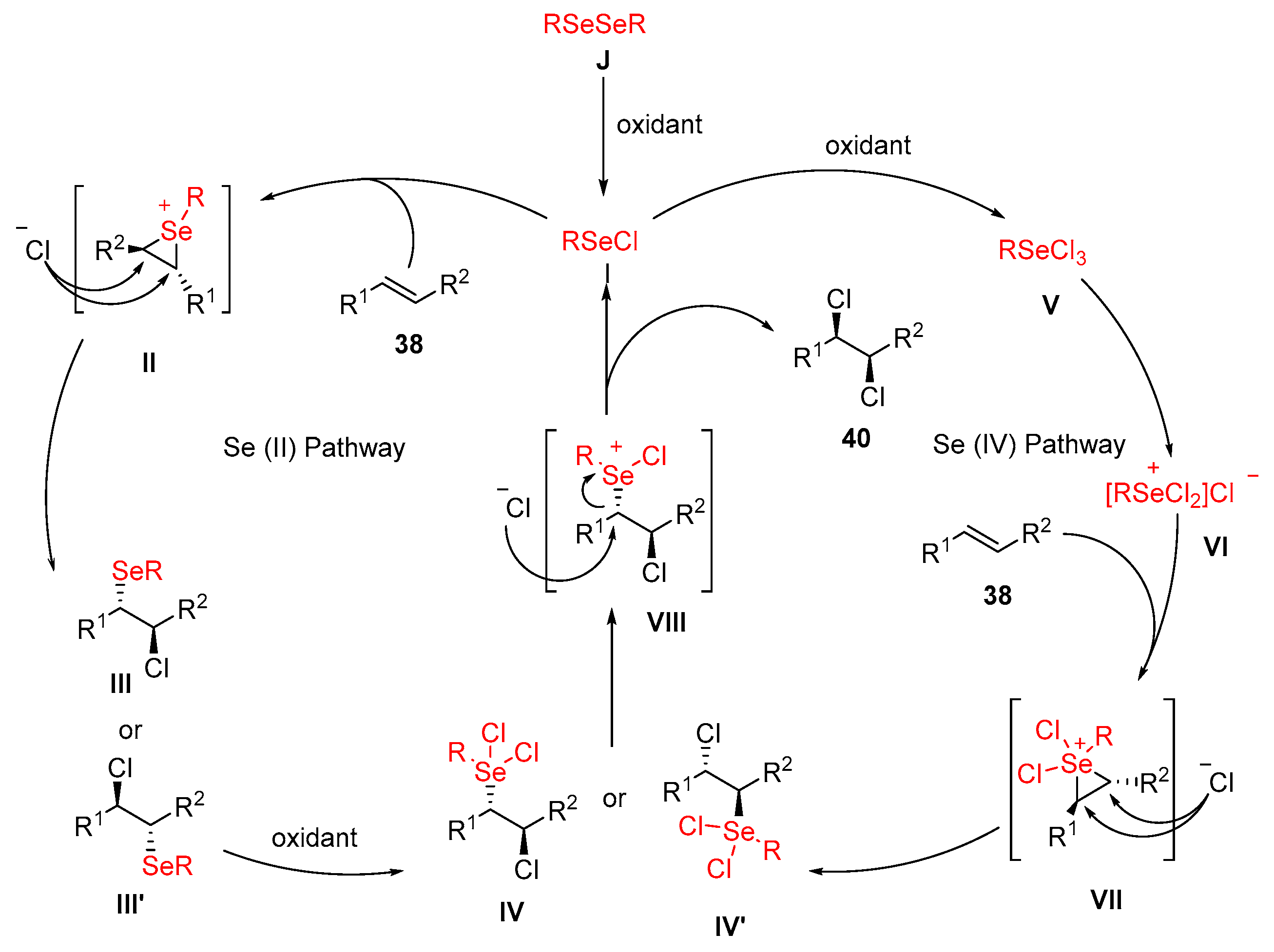Molecules 28 06614 sch041
