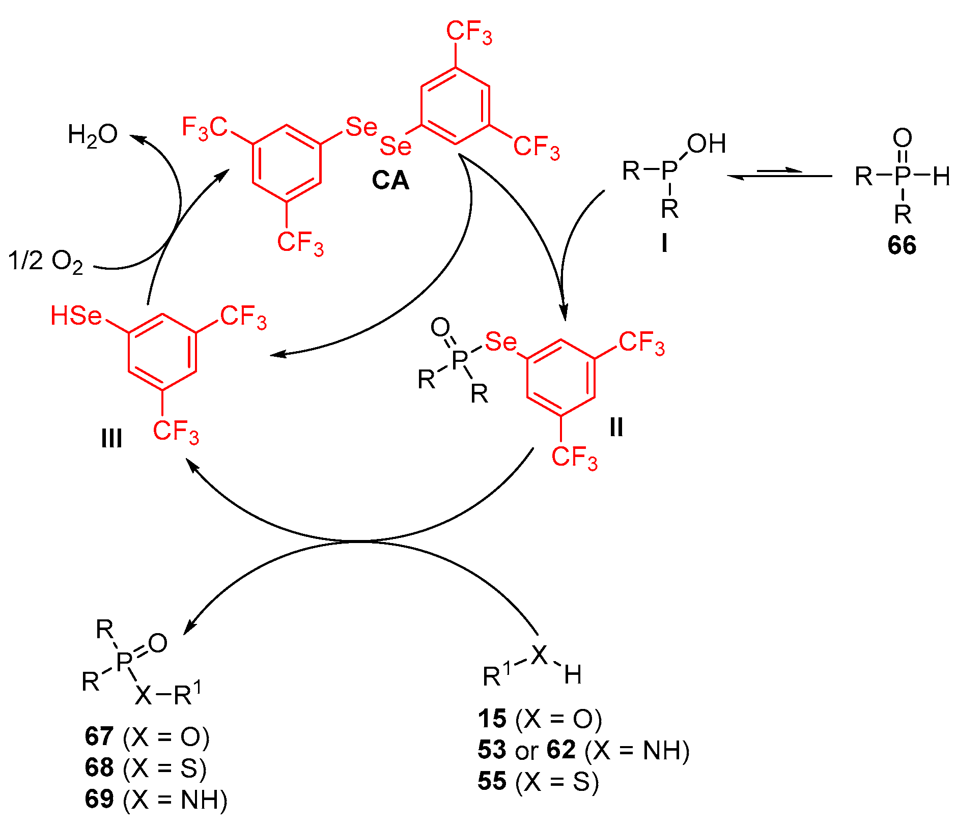 Molecules 28 06614 sch074
