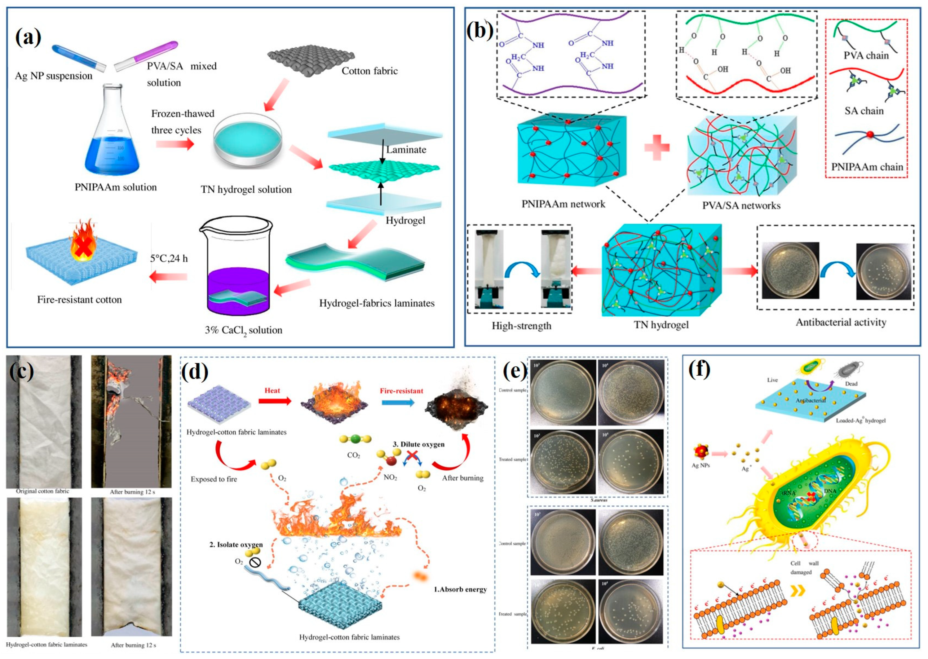Molecules 28 06628 g004