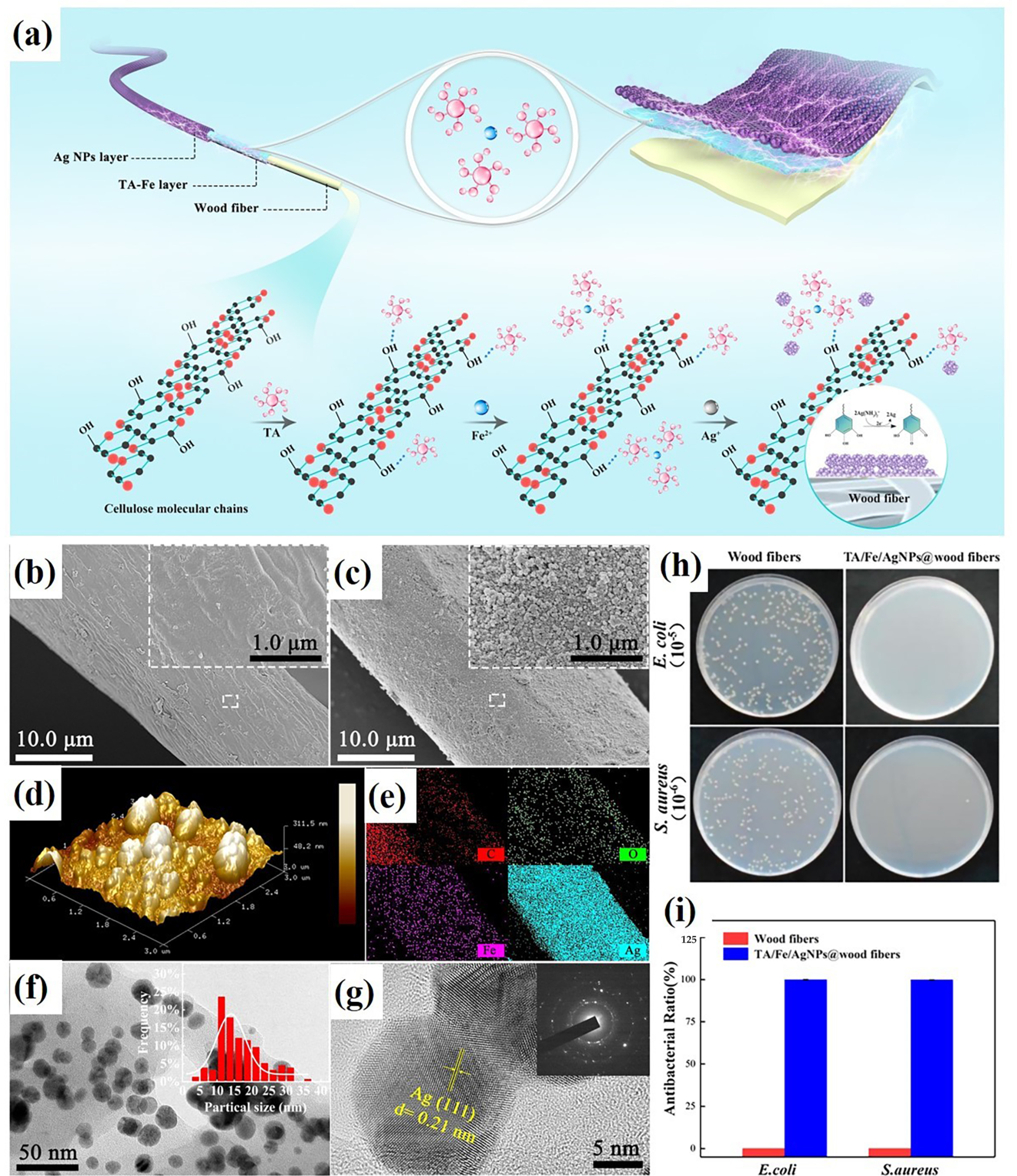 Molecules 28 06628 g005