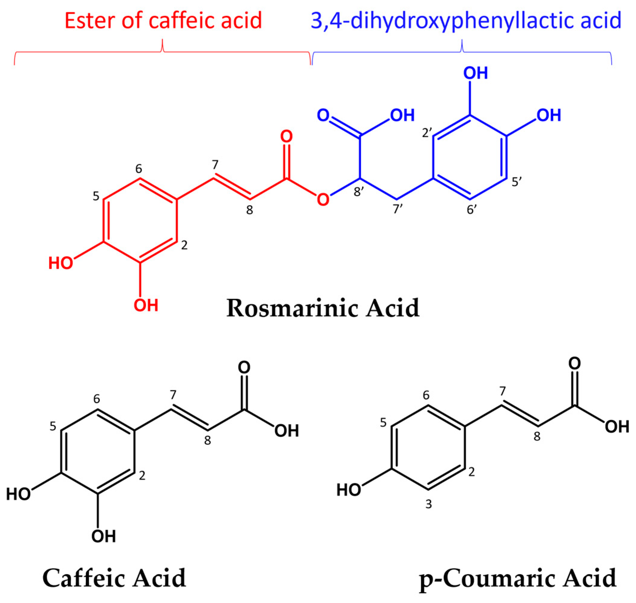 Molecules 28 06629 g001