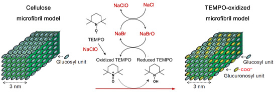 ClO2-Mediated Oxidation of the TEMPO Radical: Fundamental ...