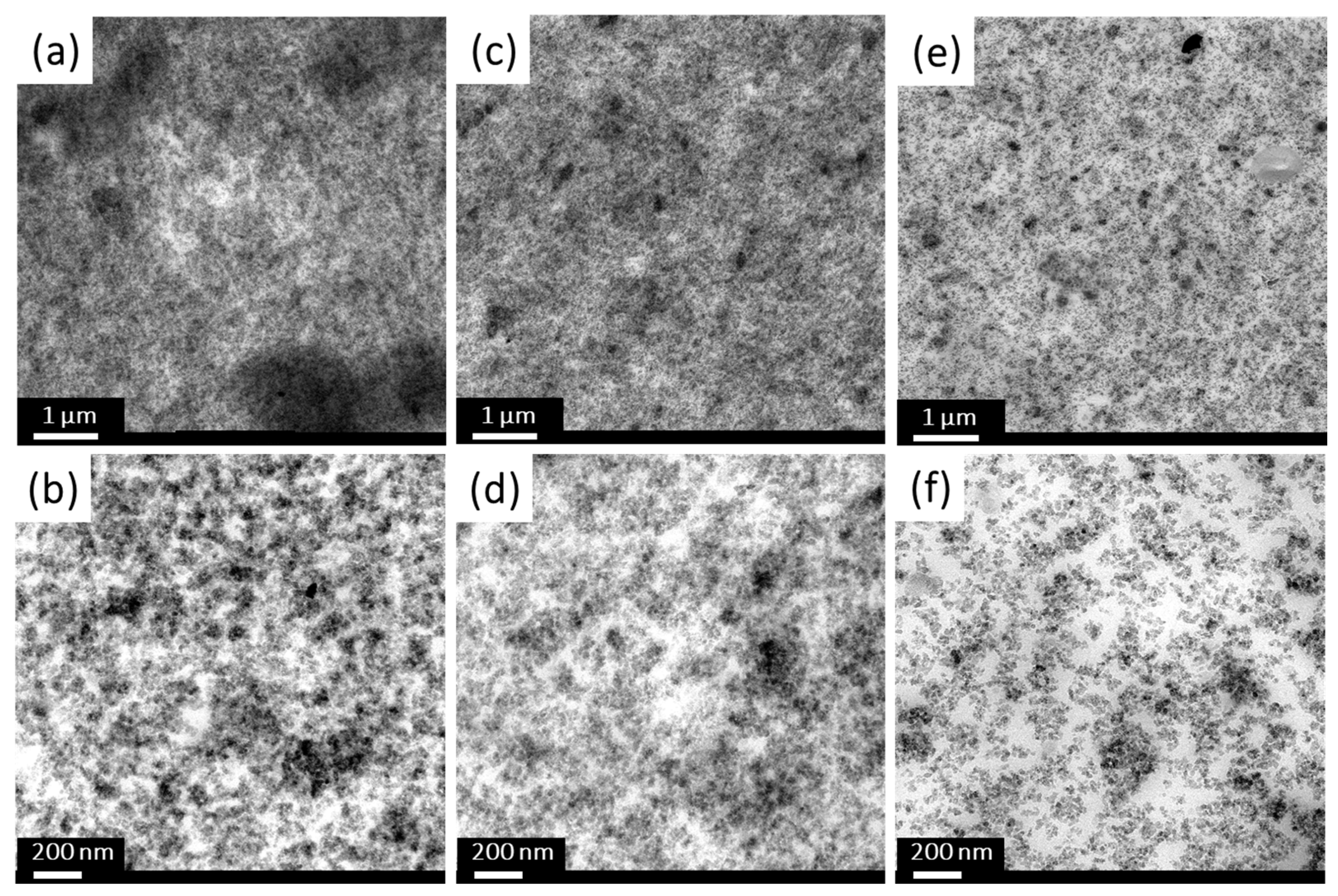 Molecules 28 06646 g013