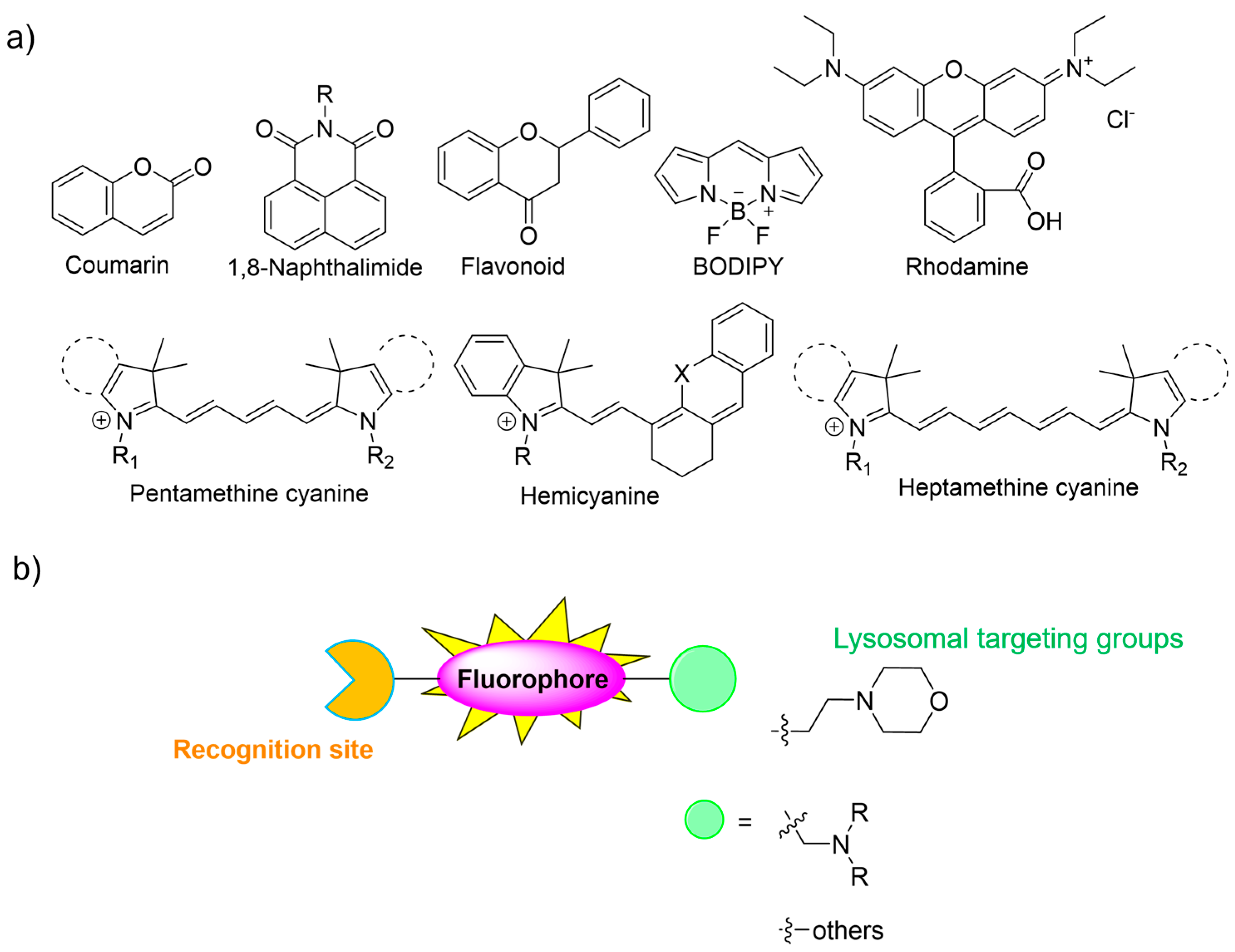 Molecules 28 06650 g002